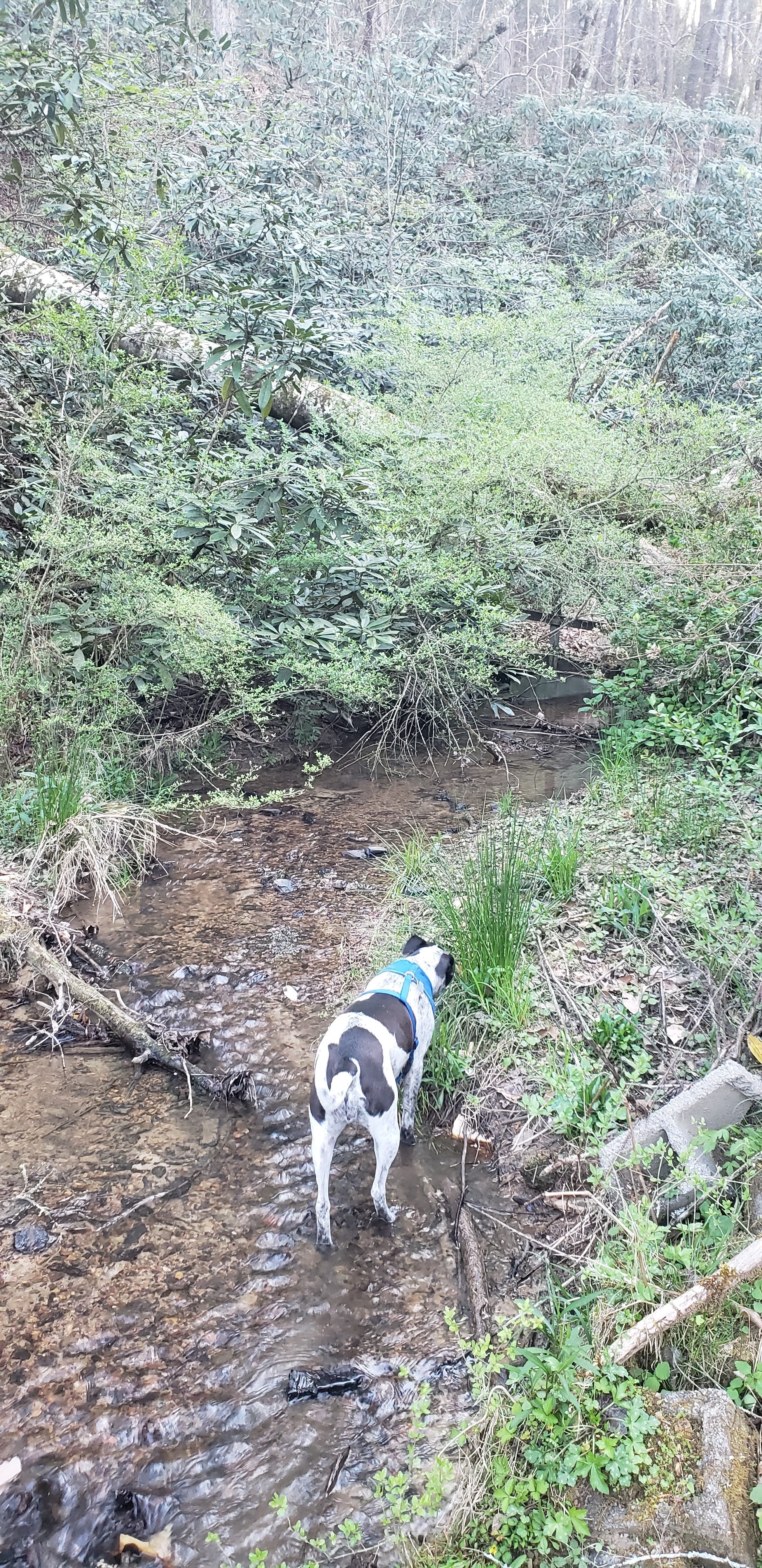 Happy Valley Hideaway