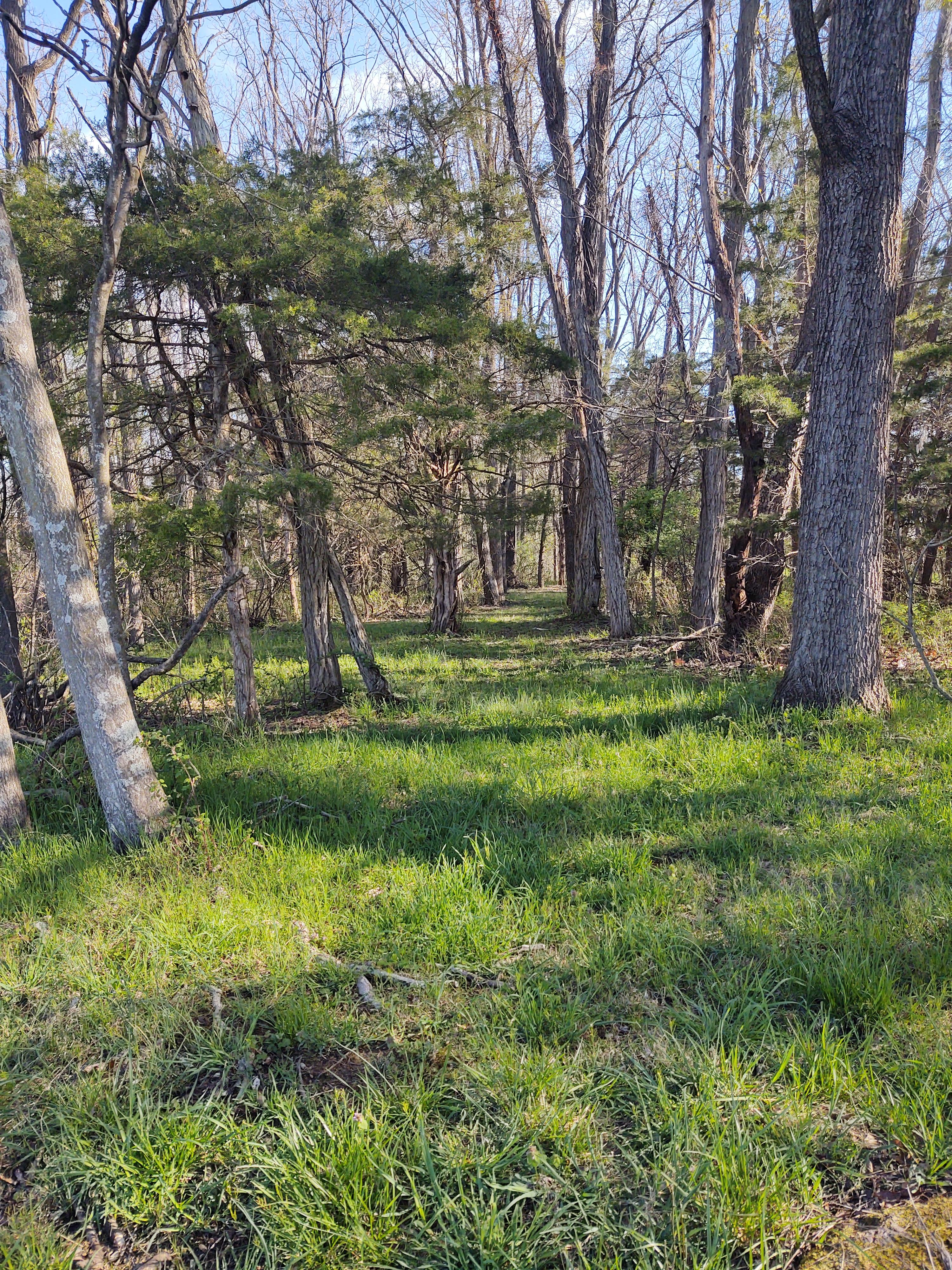 Dices Spring Farm Camp & Views