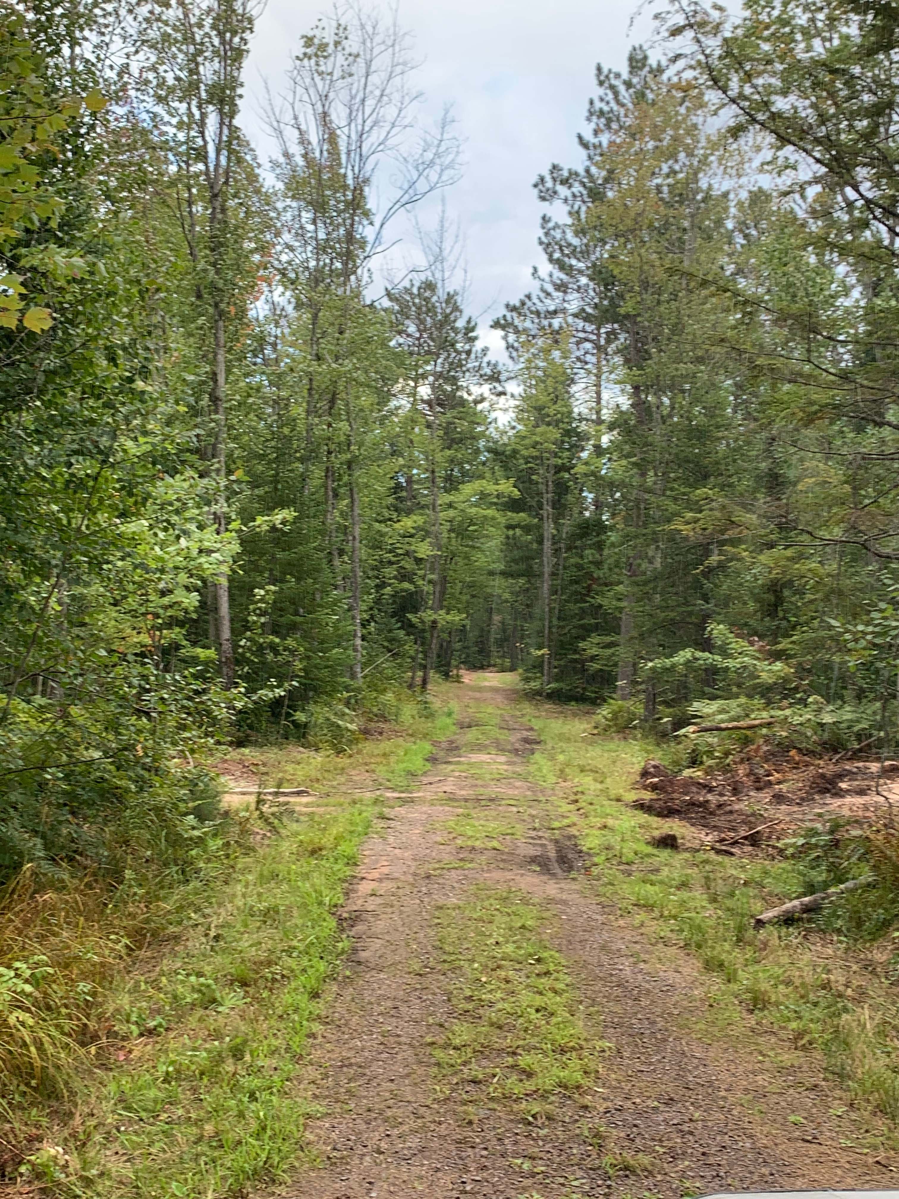 Blueberry fields campground