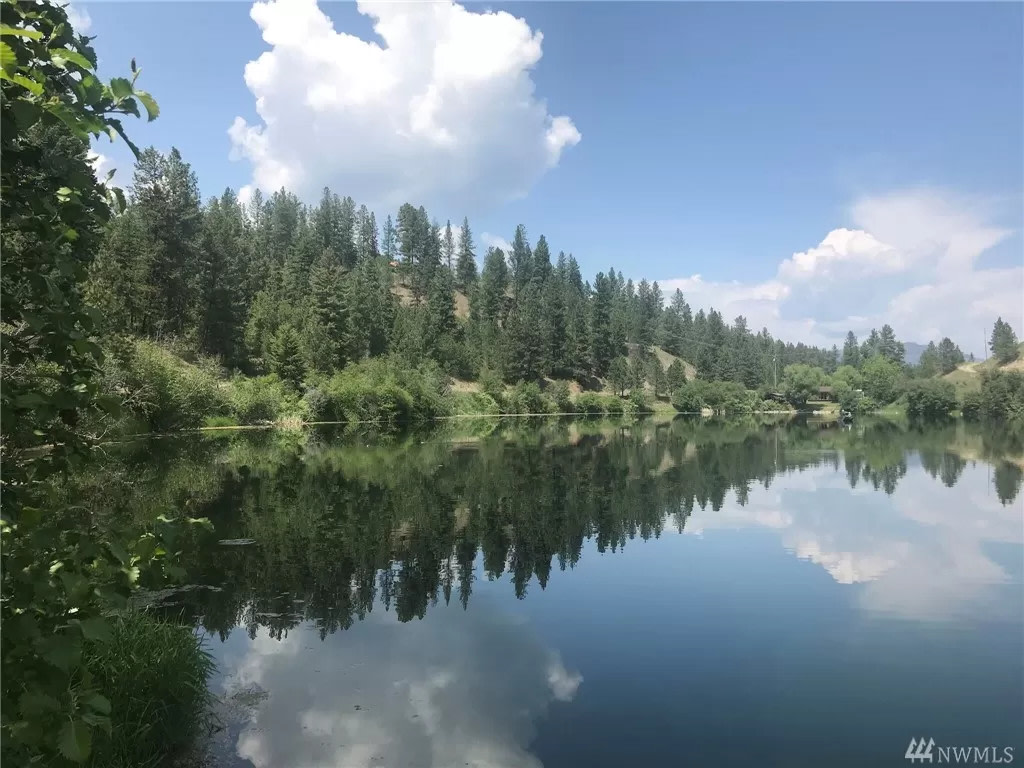 Shady pines campsite