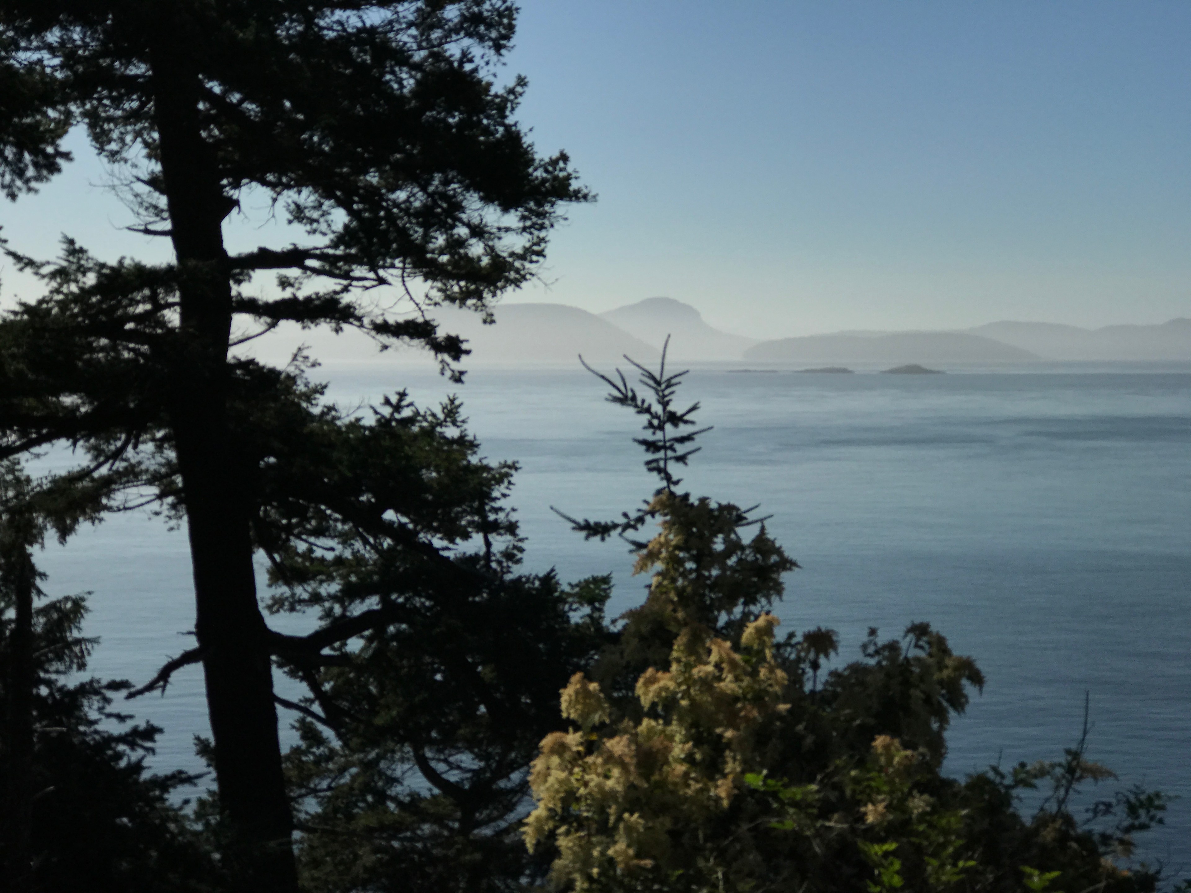 Decatur Is Tree Tents/TideAway Farm
