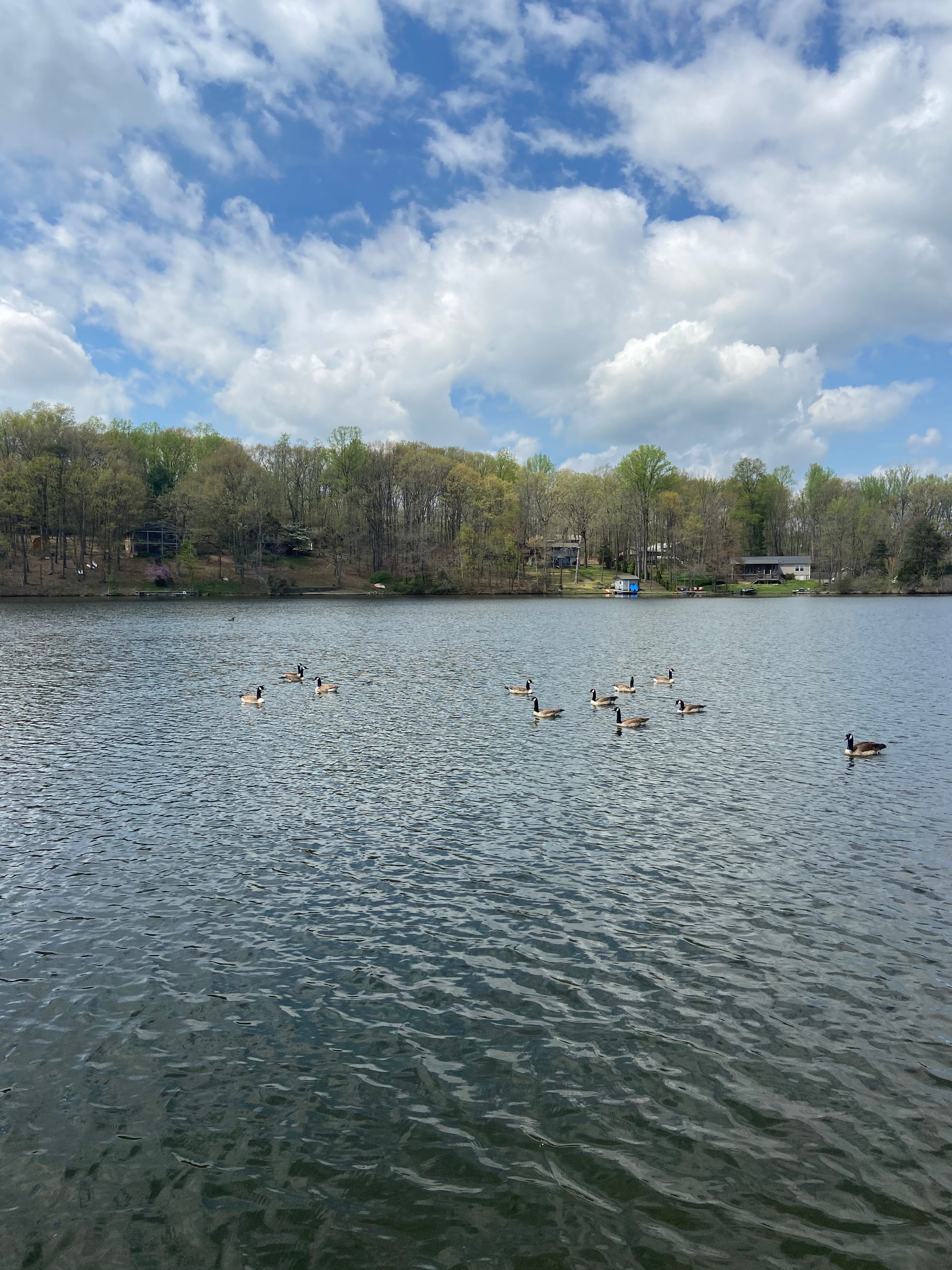 Lake Shannondale