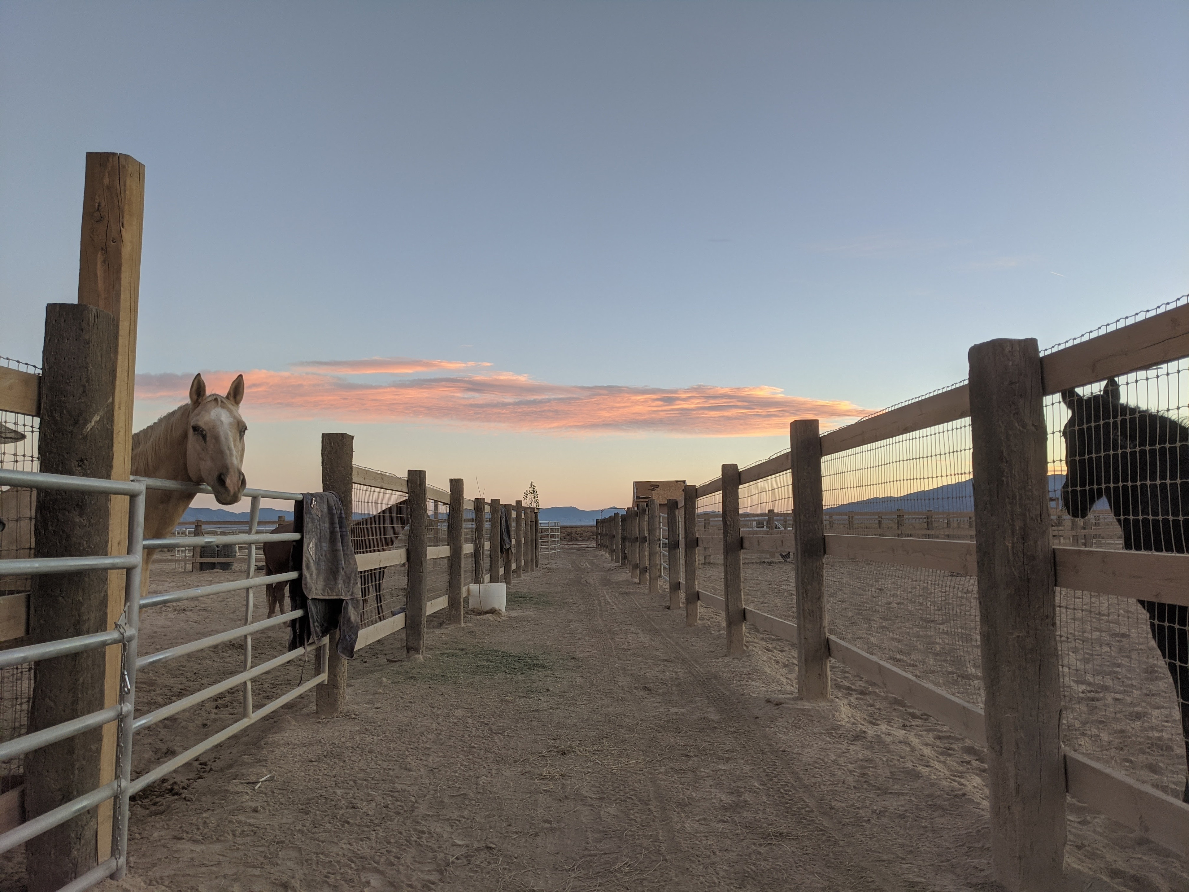 Rockin' N Ranch Buena Vista Valley
