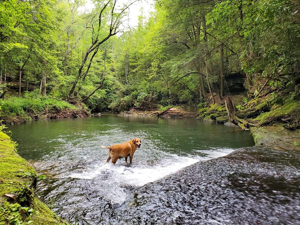 Breathtaking Waterfall & Campsite