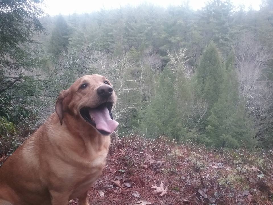 Breathtaking Waterfall & Campsite