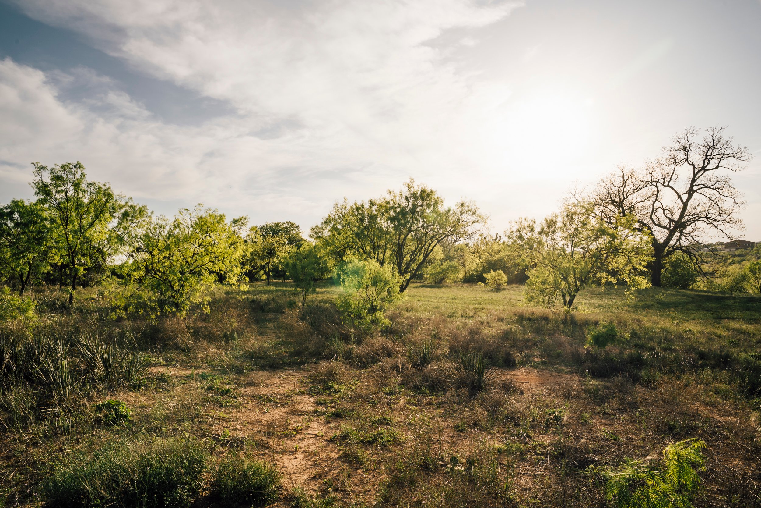 Uplift Landing on the Llano River