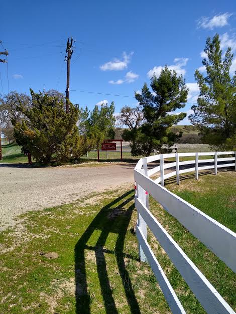 McDavitt Country Camping