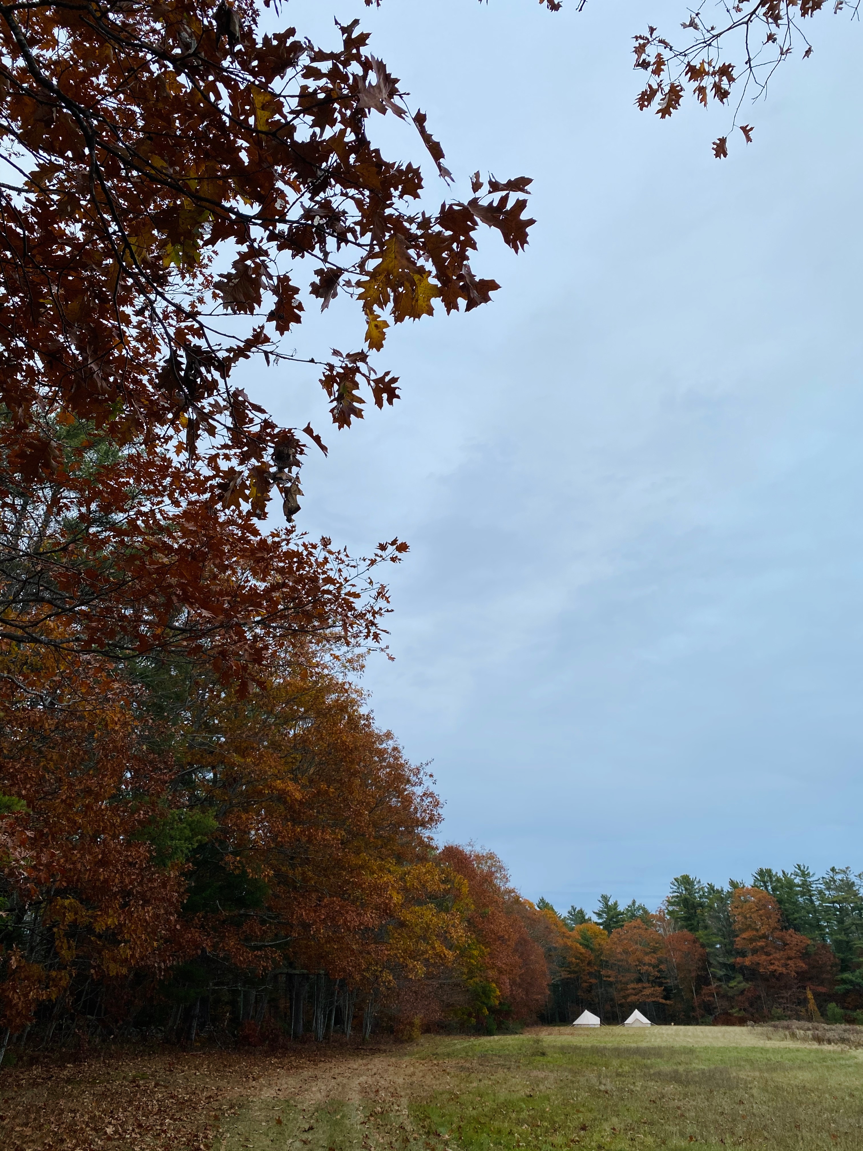 You will be camping at the back of this huge field.