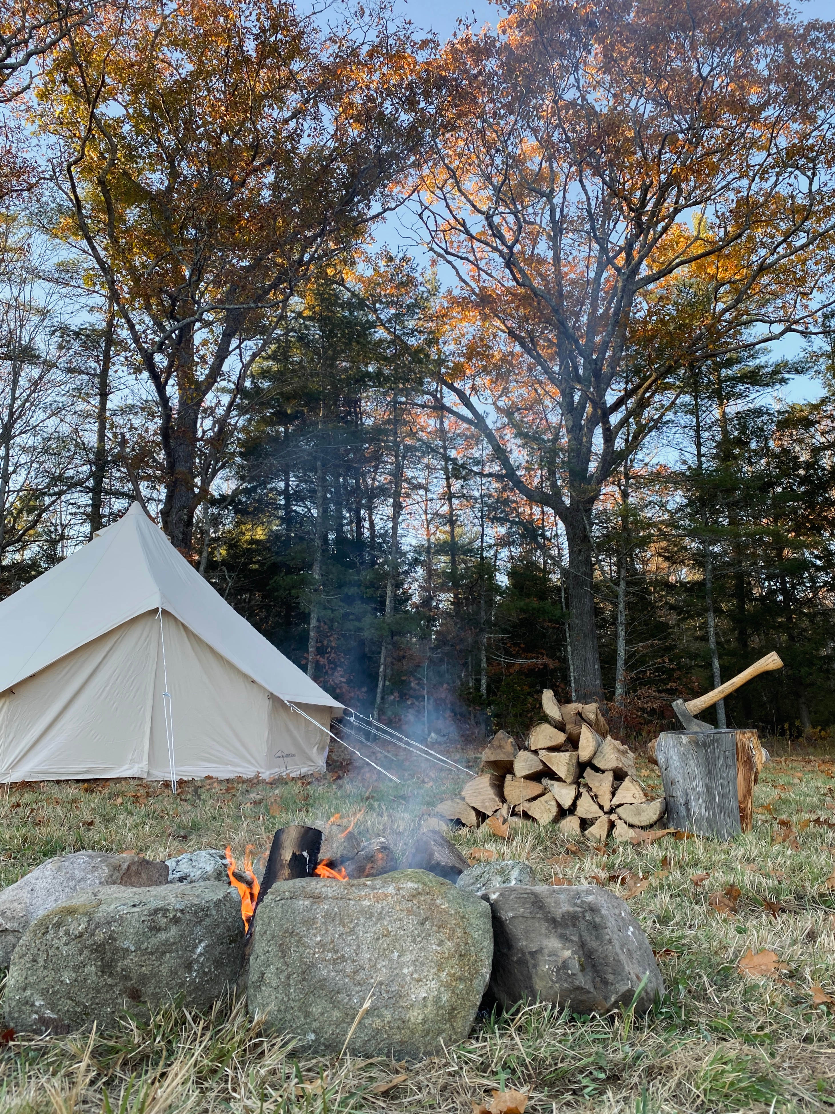 Huge old oak tree tower over the site