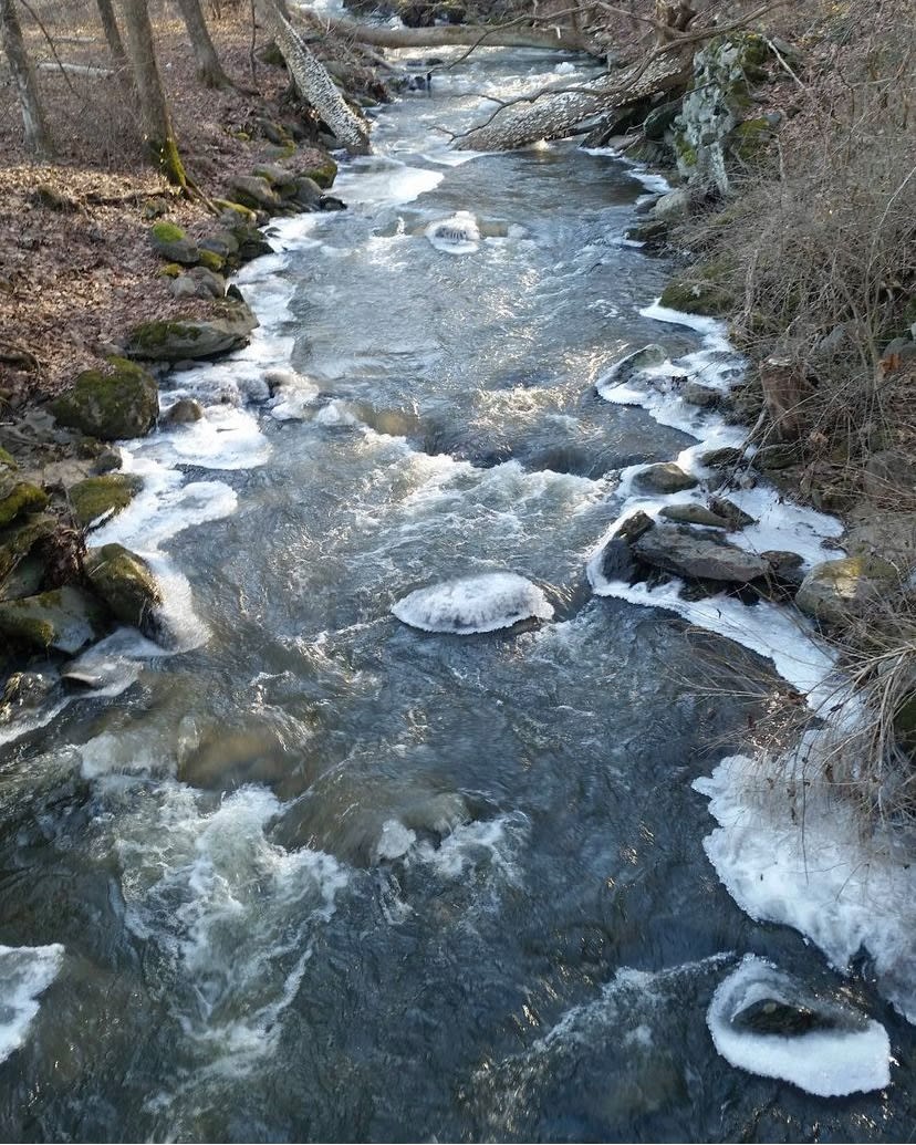 Duell Hollow Brook