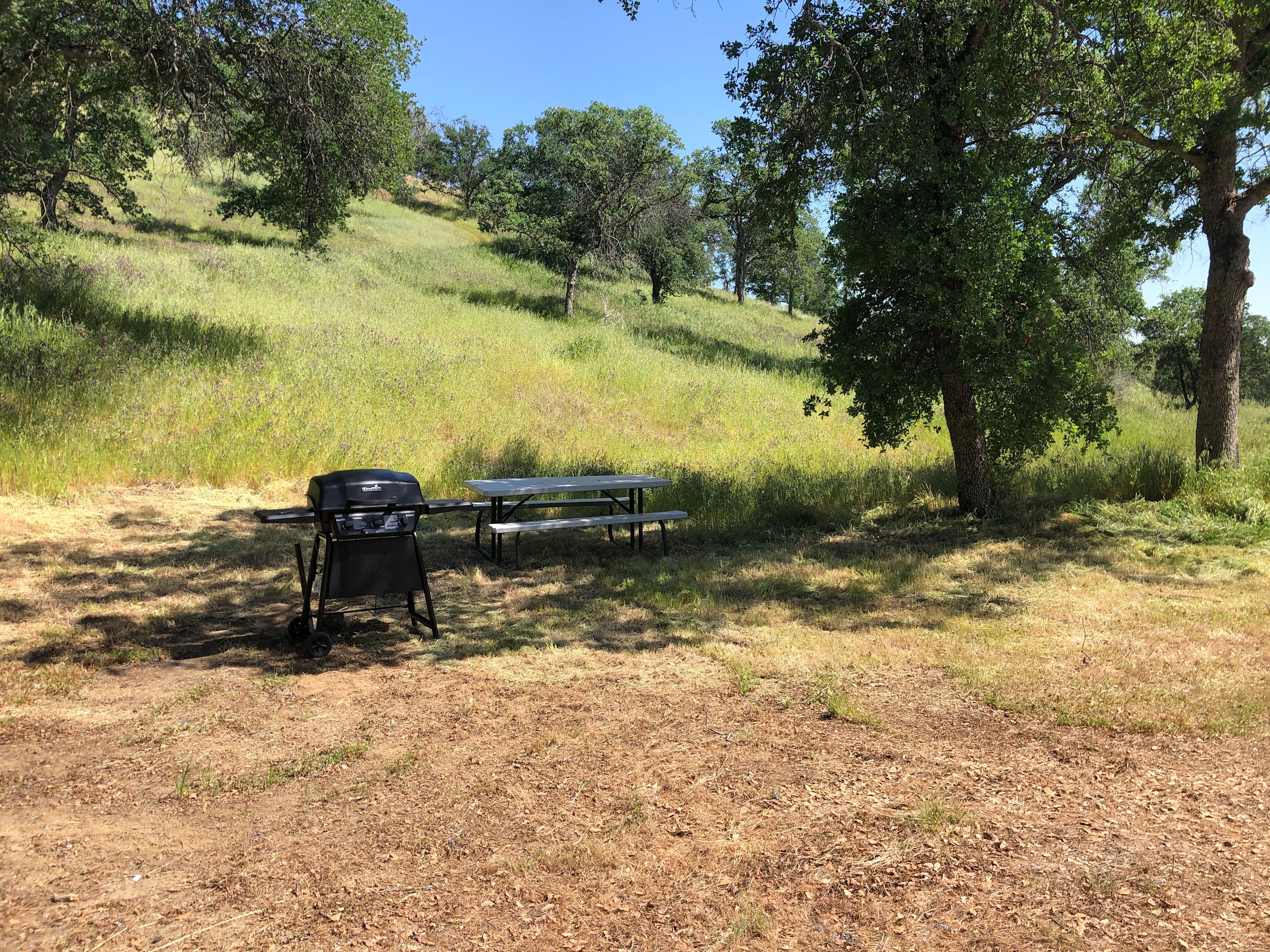 Ace's Yosemite Hide Out