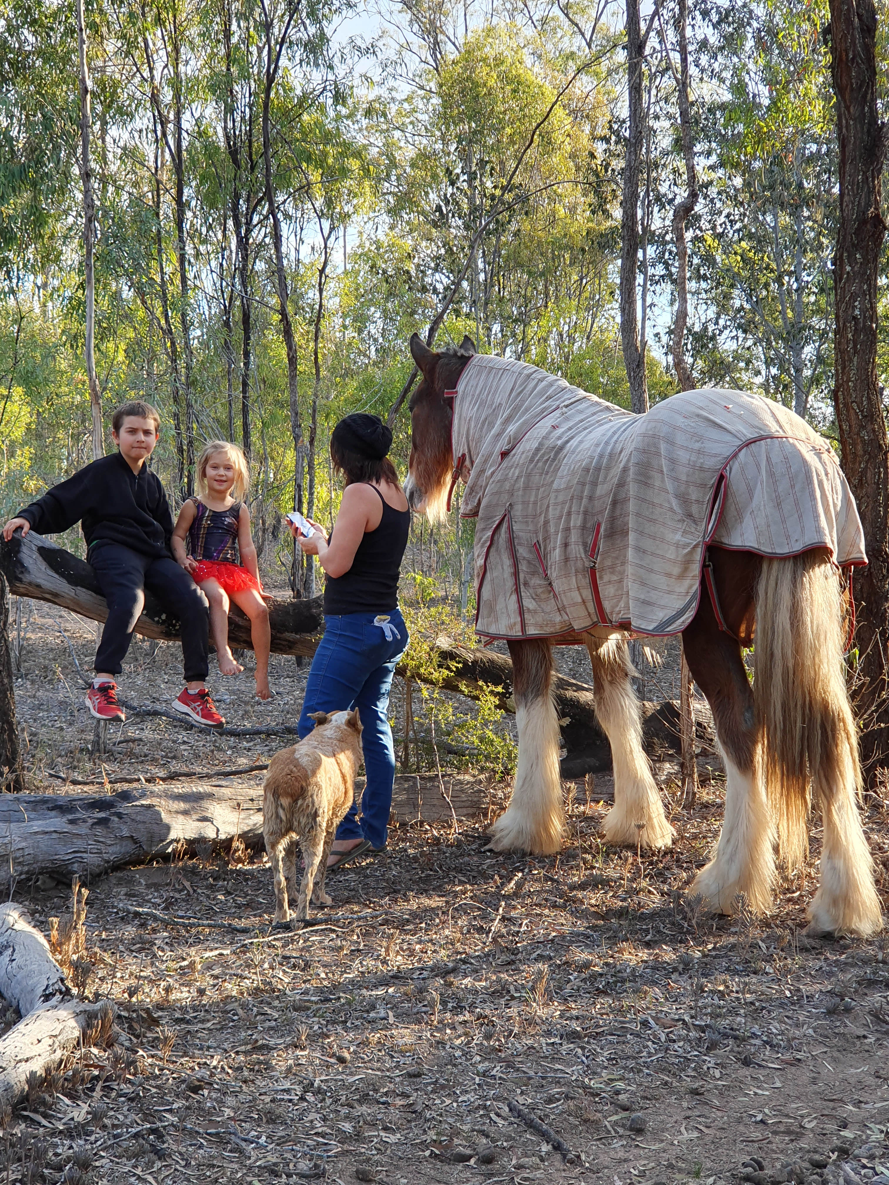 Mr Boots hanging out with children on the bouncy log. 