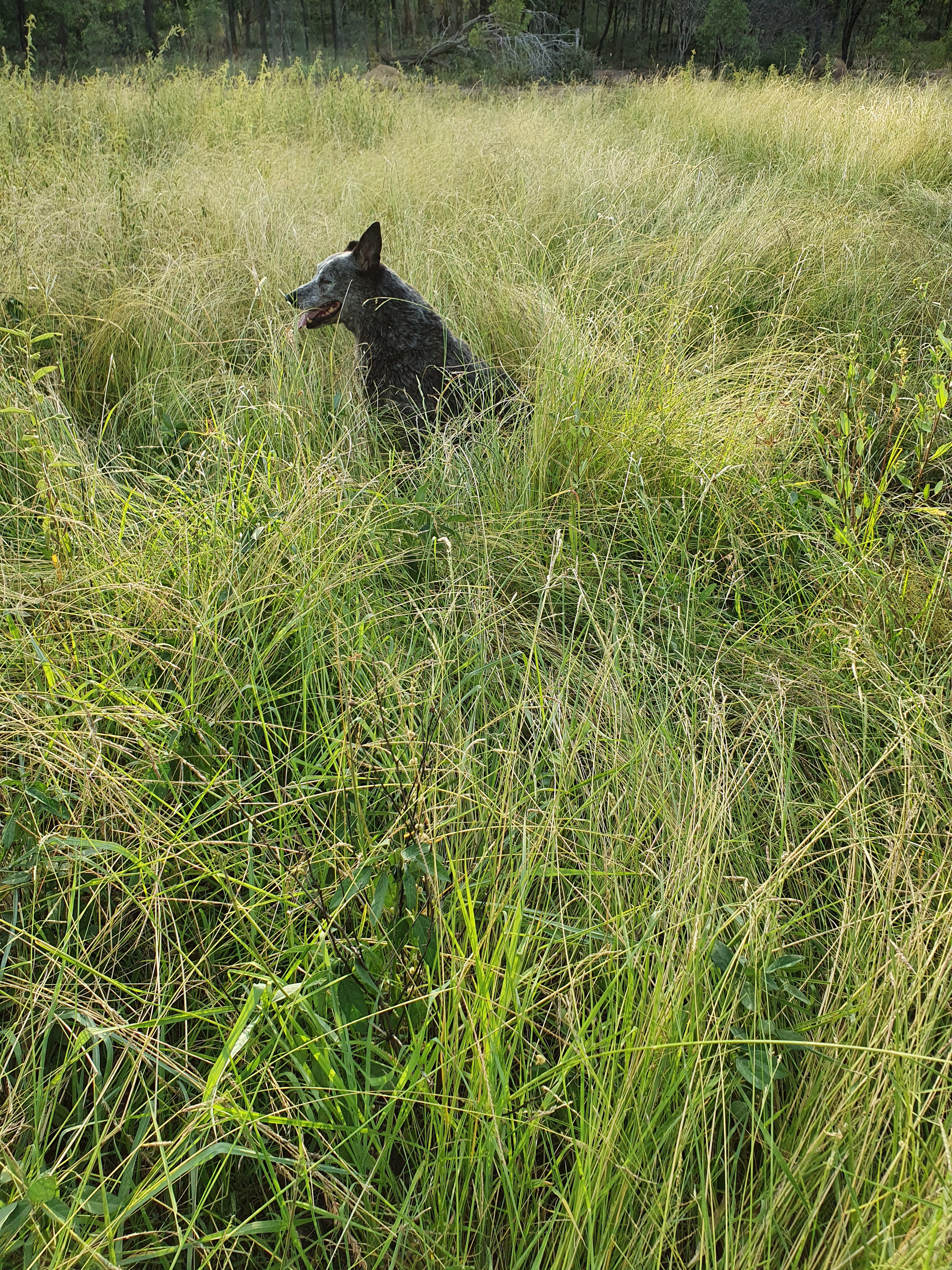 Out in the field