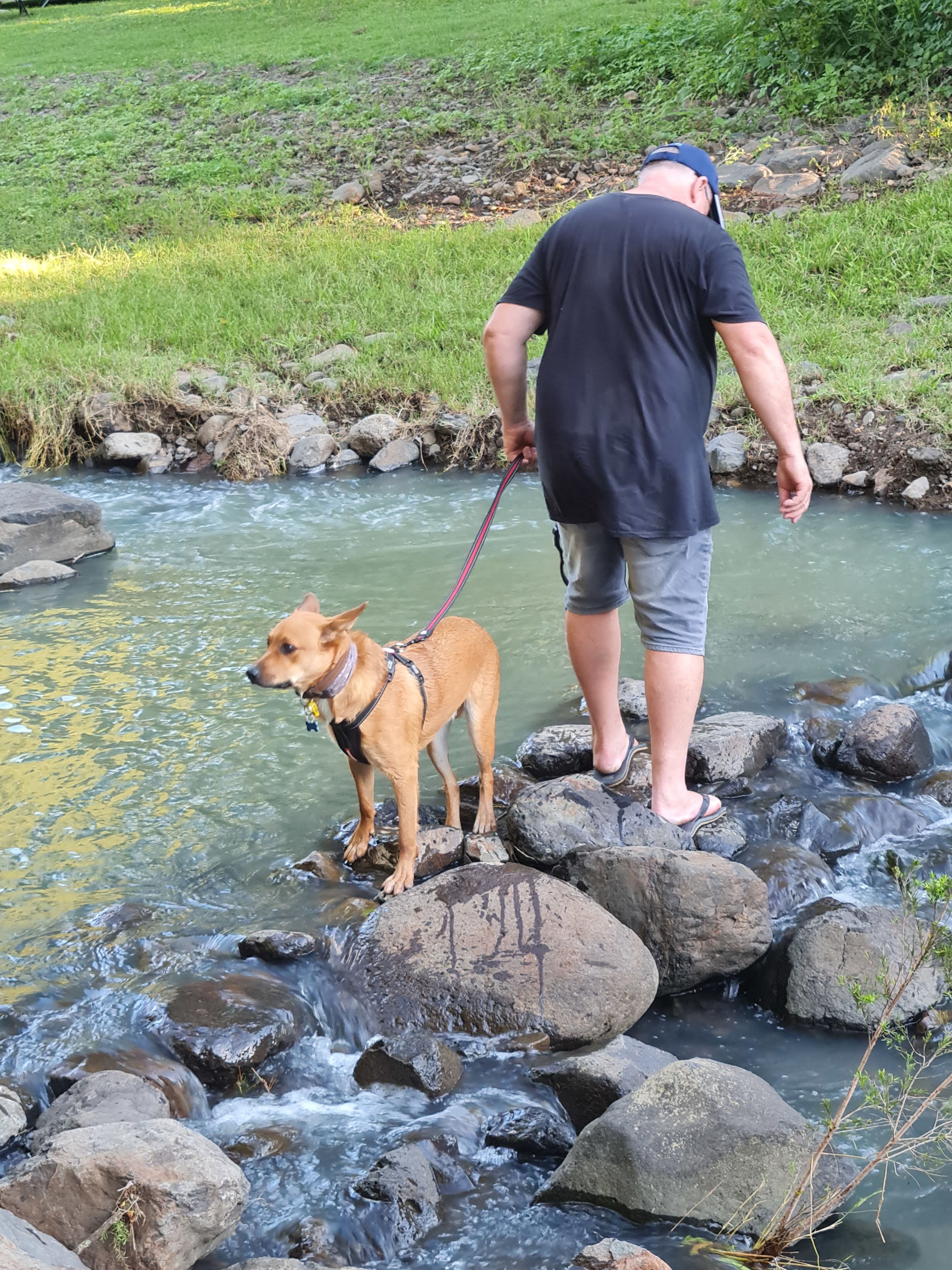 Estate Lodges Caravan & Camping