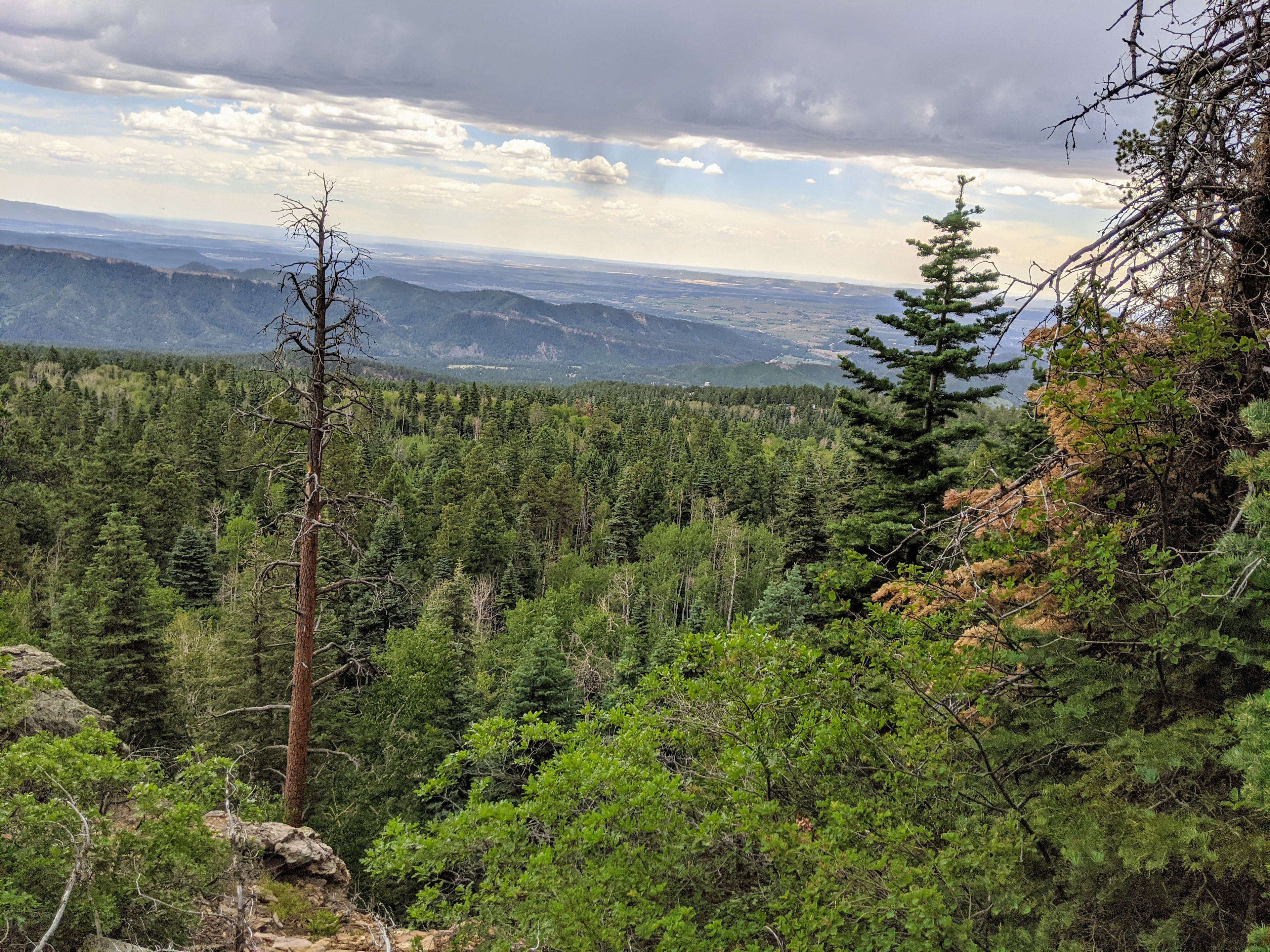 Our property sits at 8,600' elevation with 10,000' views nearby.