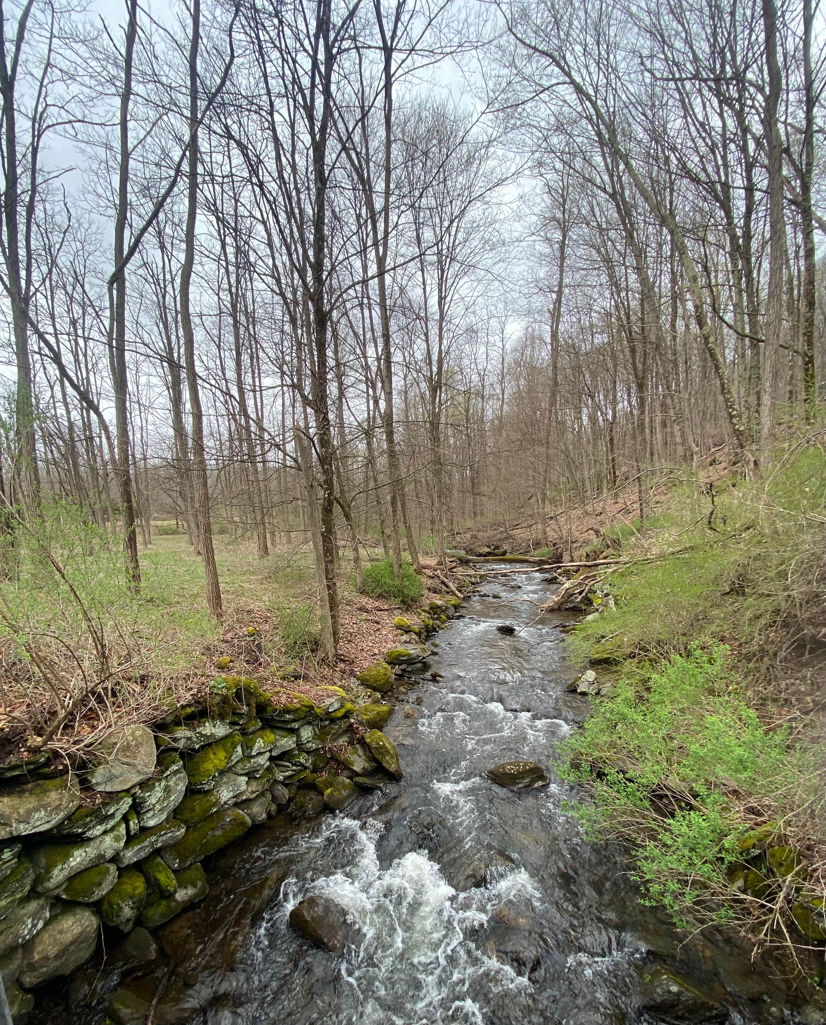 Duell Hollow Brook