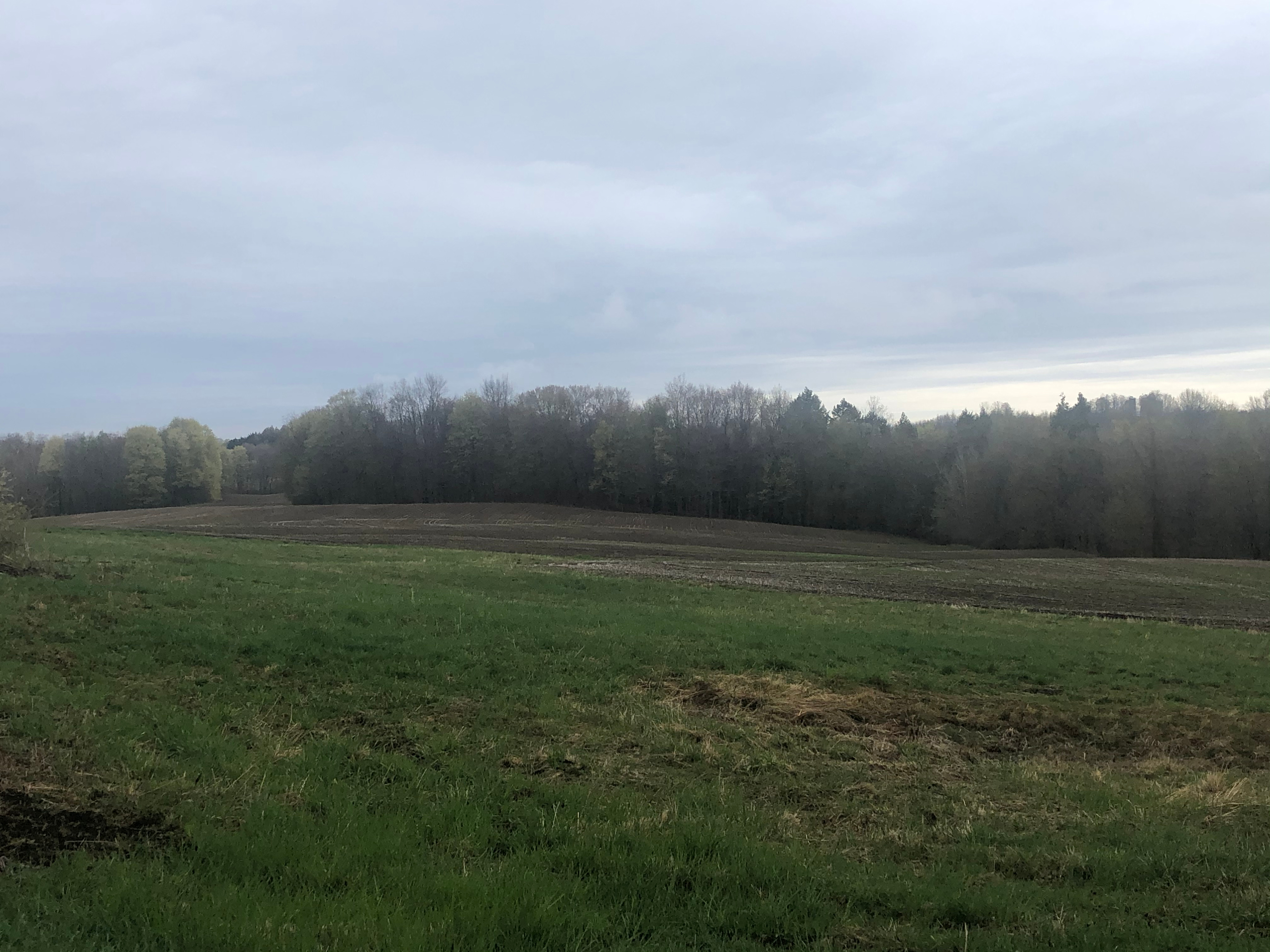 Keefe Farms
