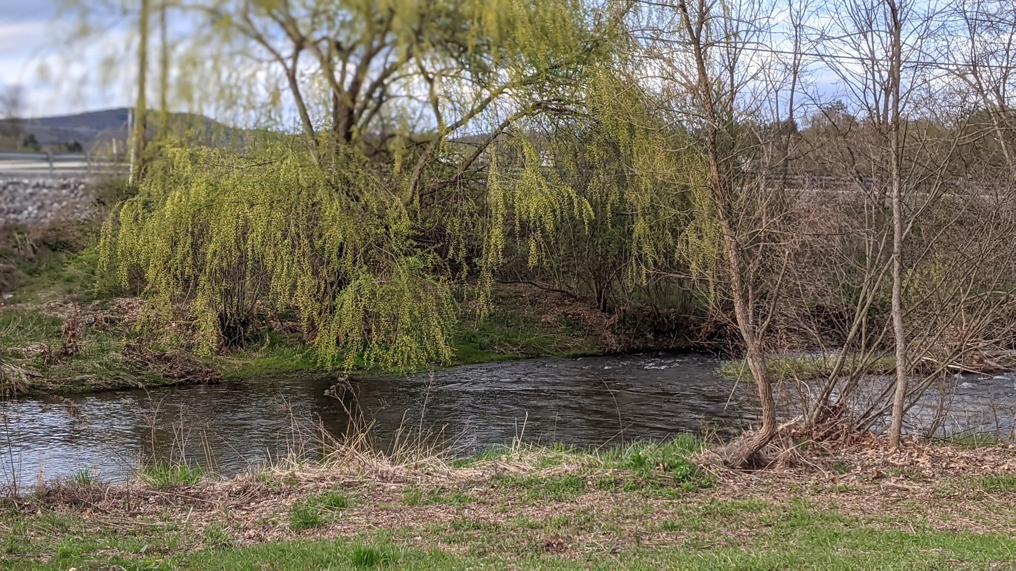 Farm on the Creek