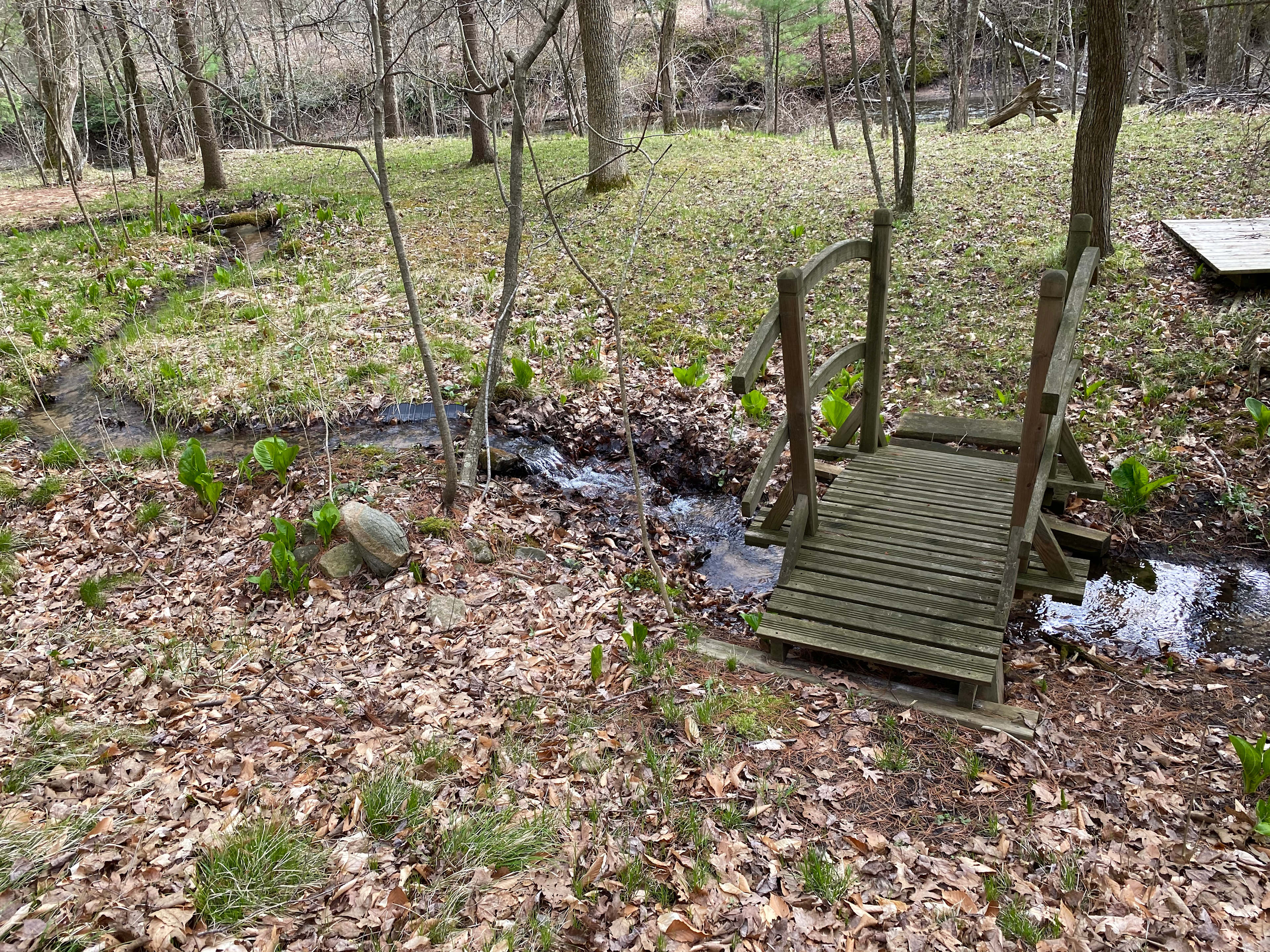 Riverfront Escape at Brookhollow