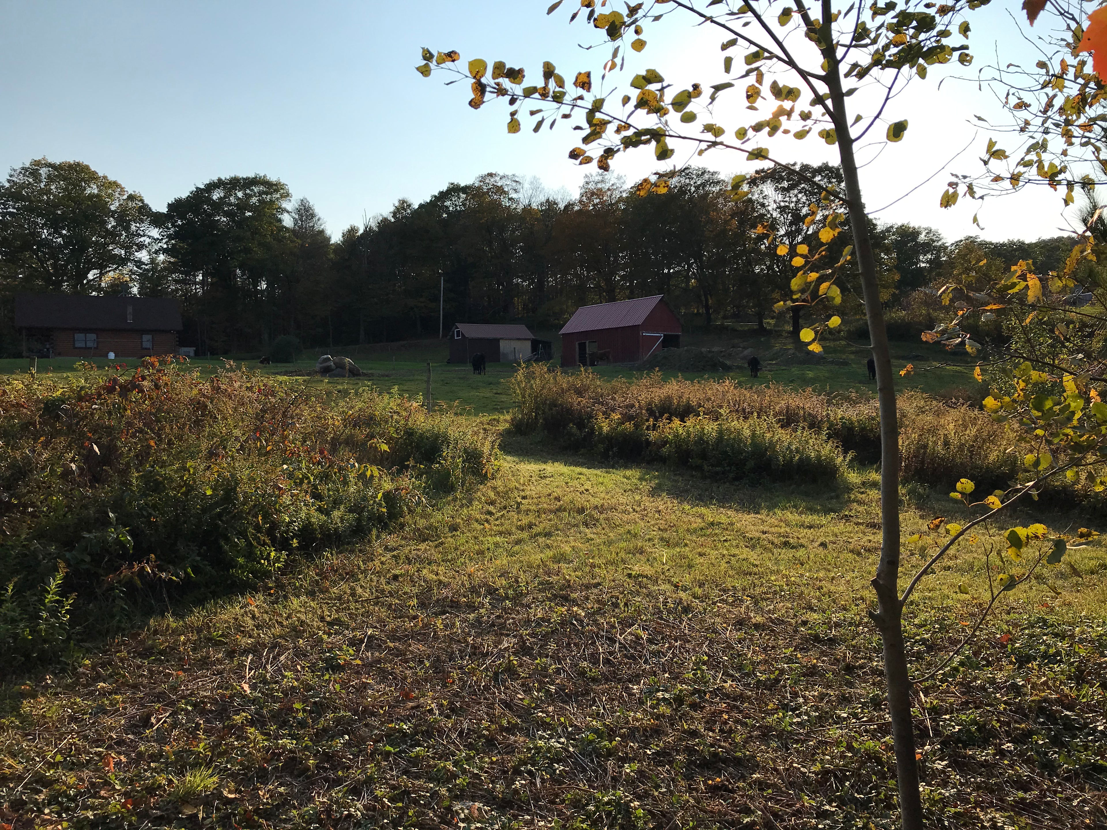 Berkshire Basecamp