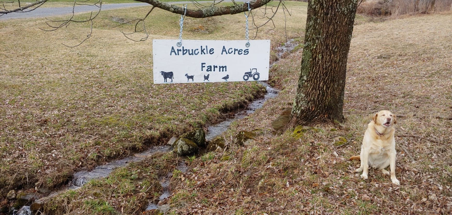 Arbuckle Acres Family Farm -  fields and forest