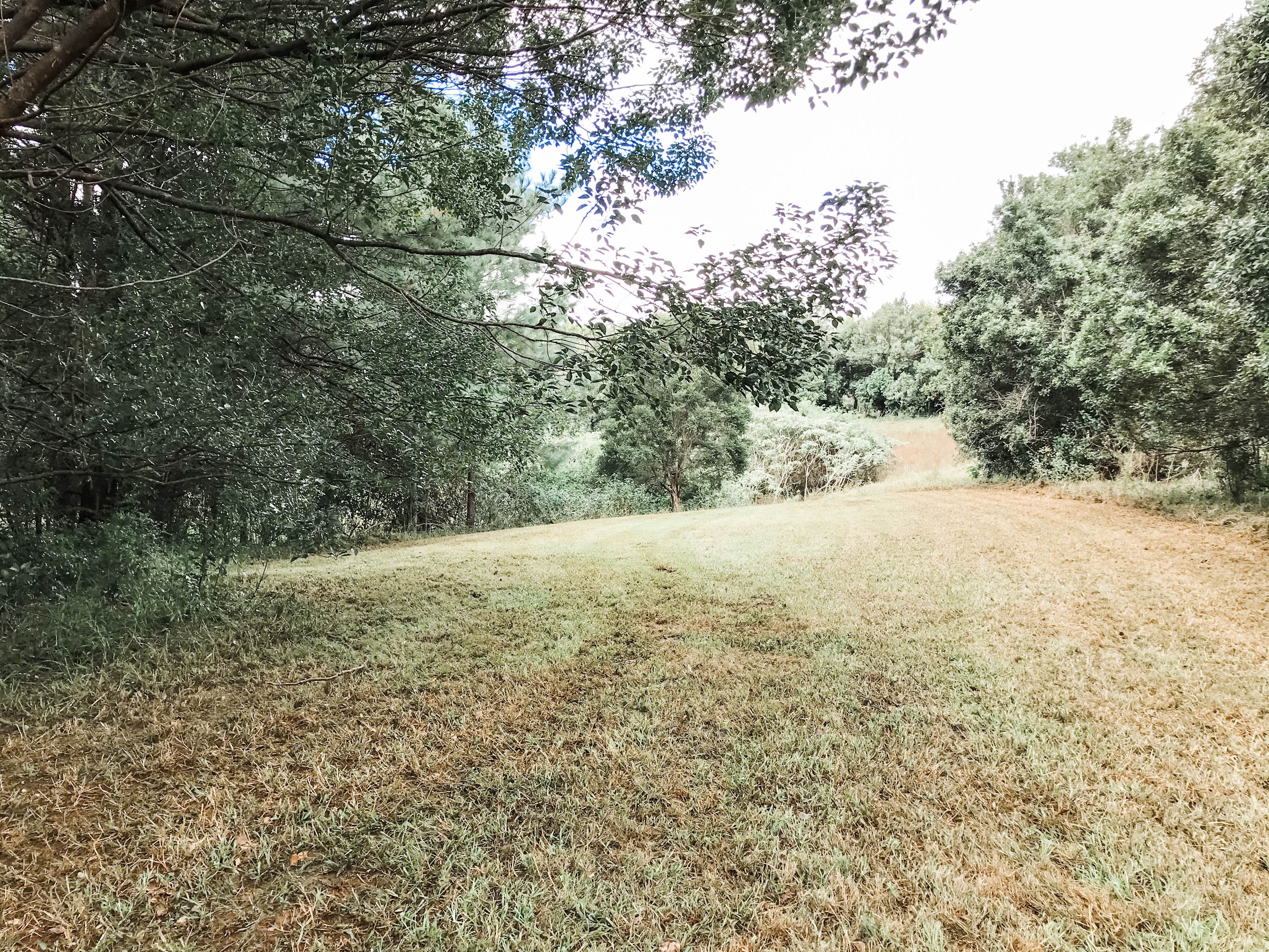 Hipcamp Site #3 Creek side 