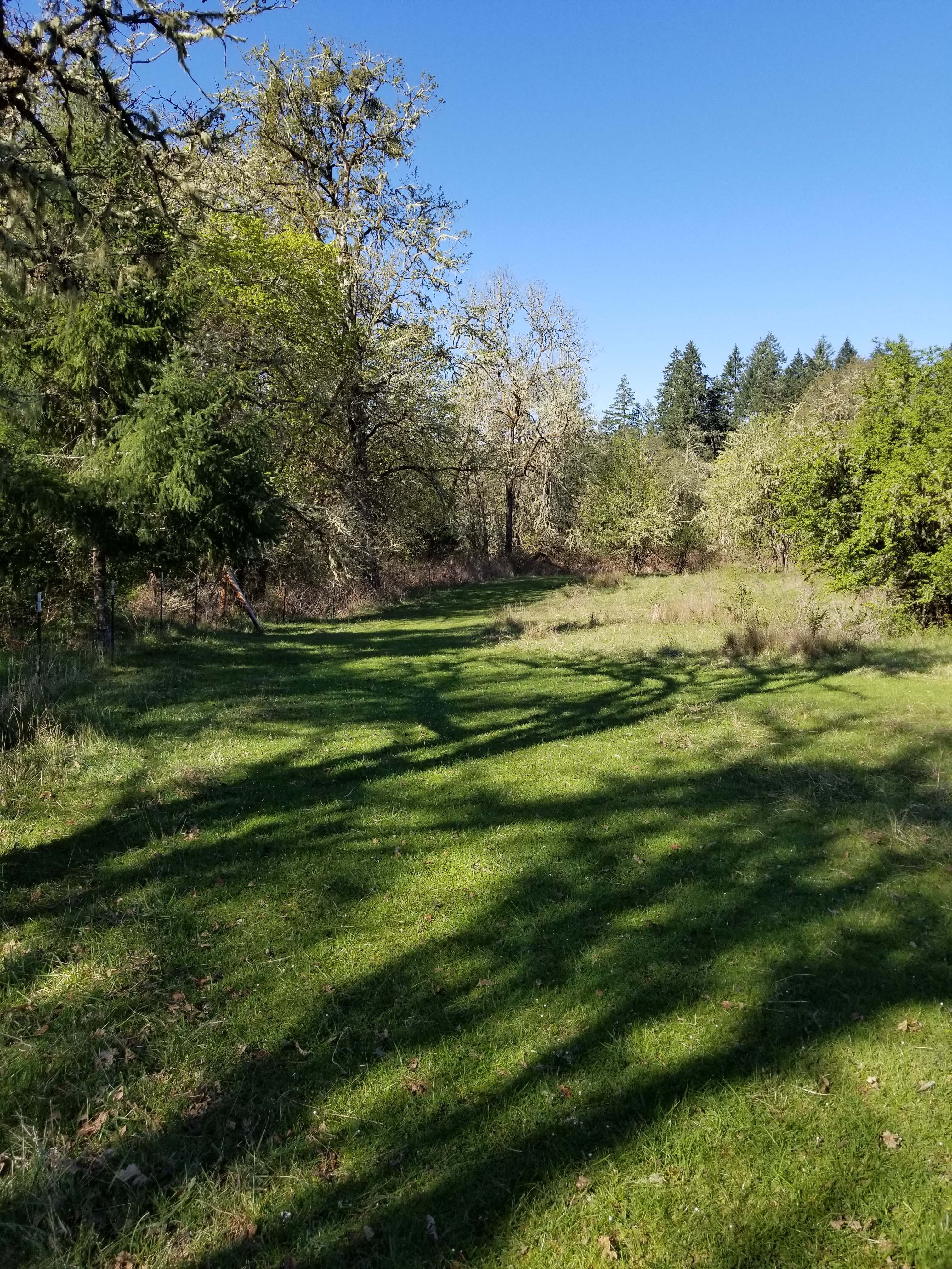 River Ranch Campground