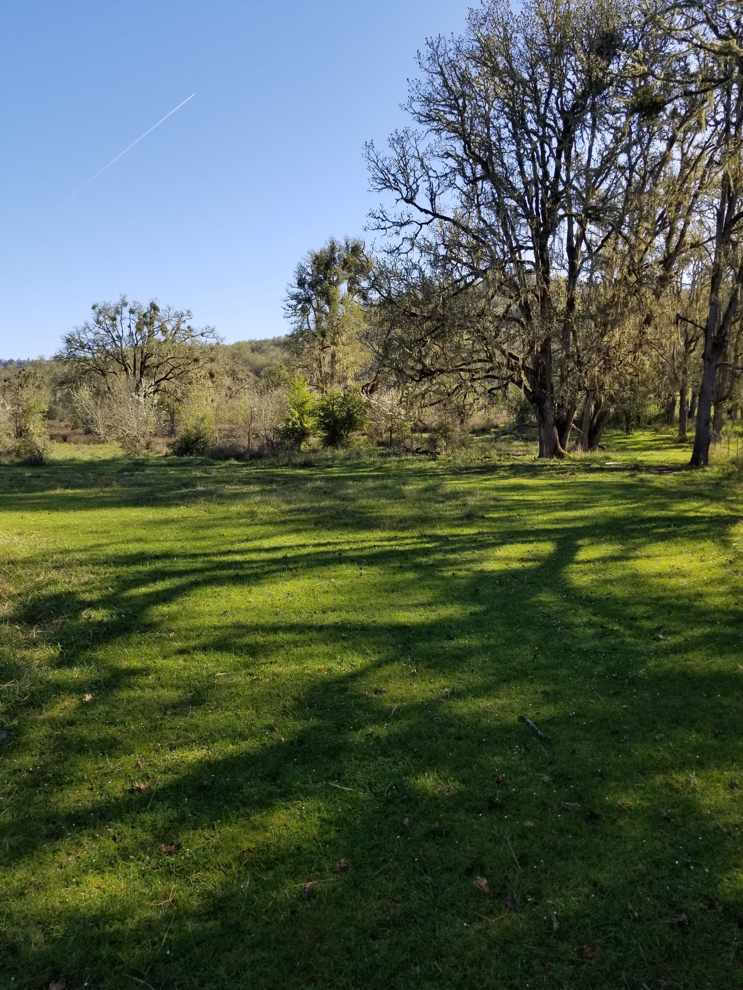 River Ranch Campground