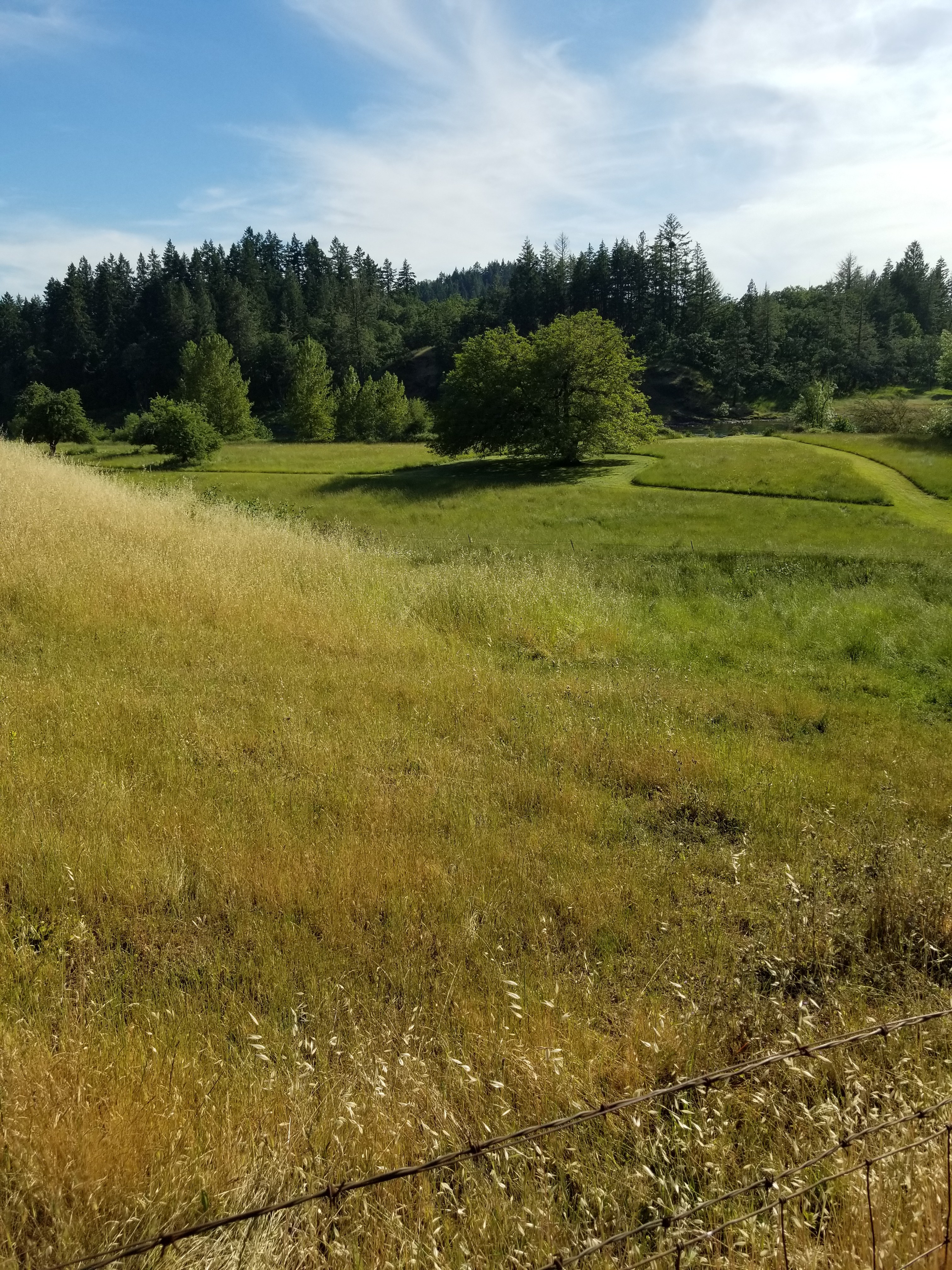 River Ranch Campground