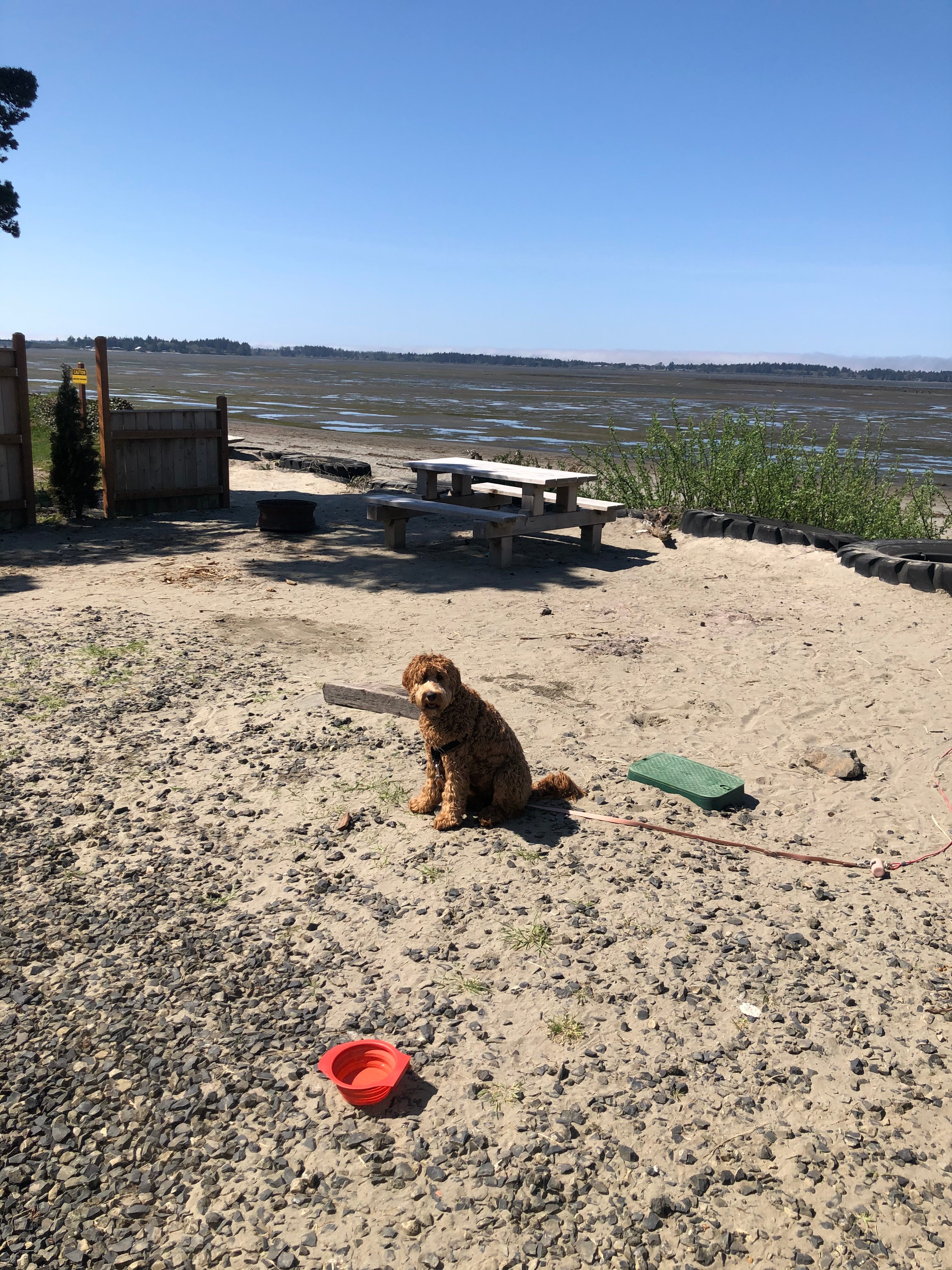 Unique Bay Front Camping - RV ONLY