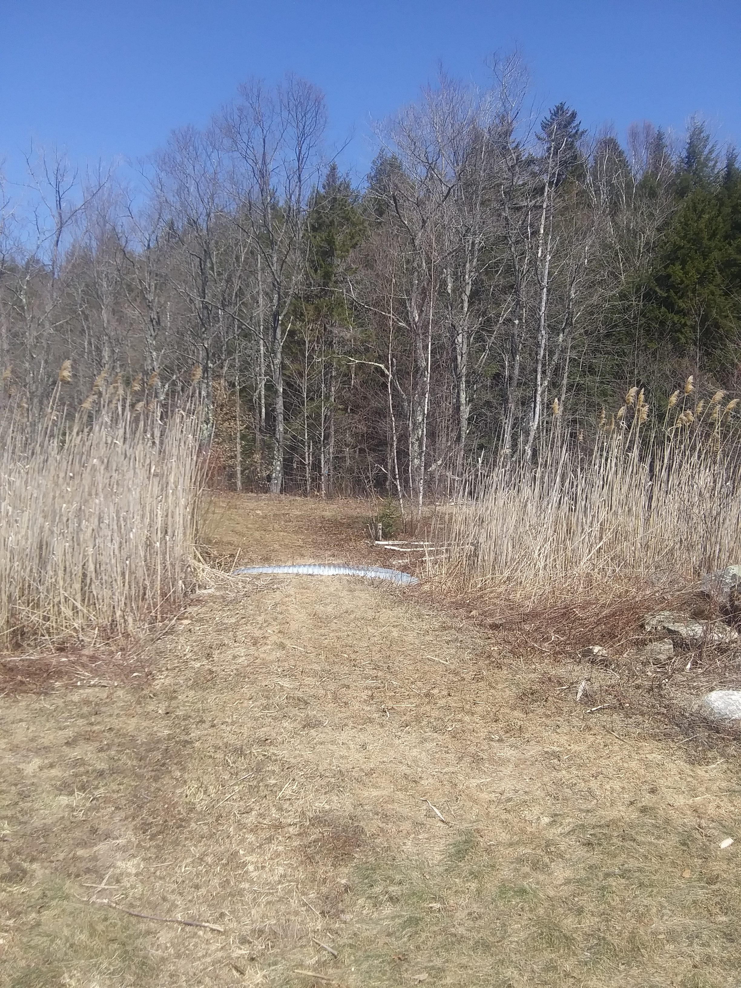 One of two trail accesses next to Peaceful Pond Side Retreat site. 