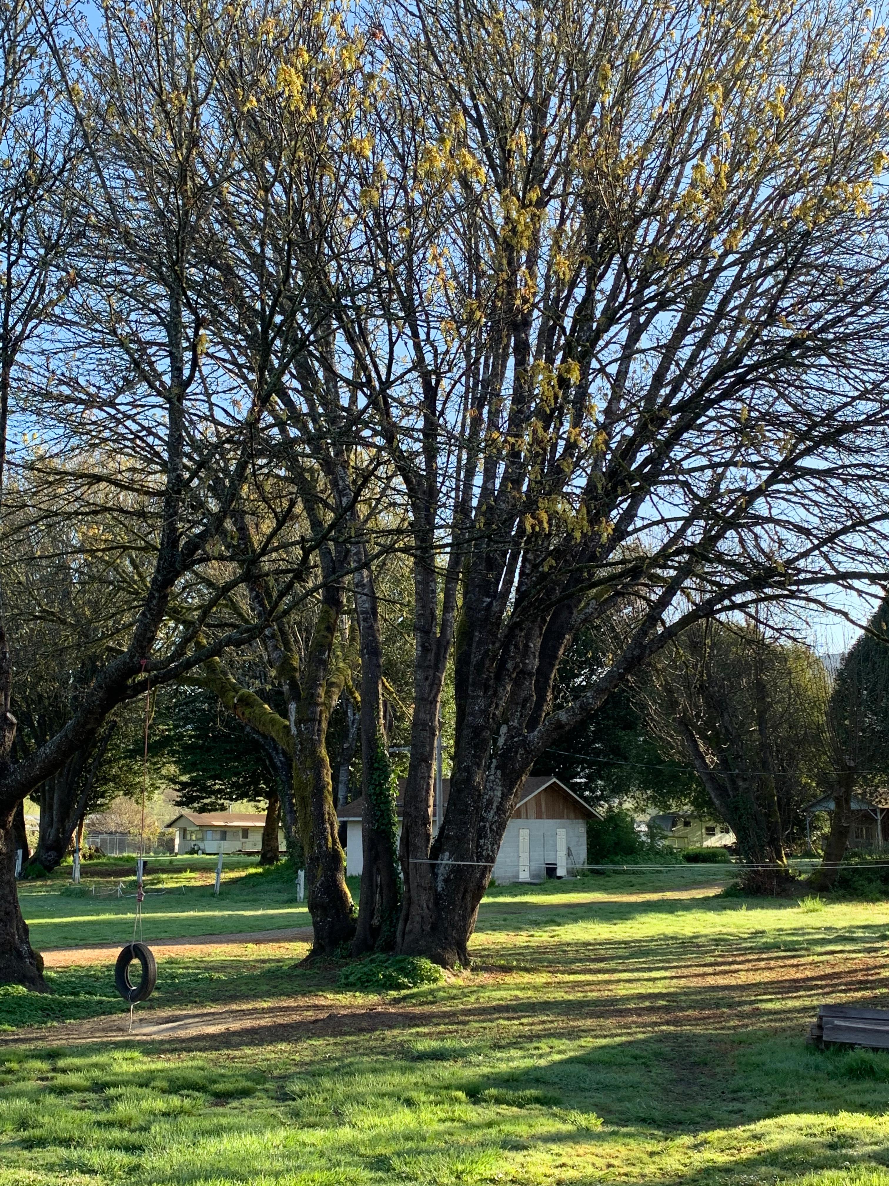 Terwer RV Park
