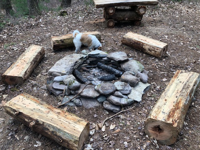 Couldn't get the dog to leave the firepit area because apparently he smelled the wonderful smoked flavor of fire roasted camp food!  I agree with him, nothing beats it!