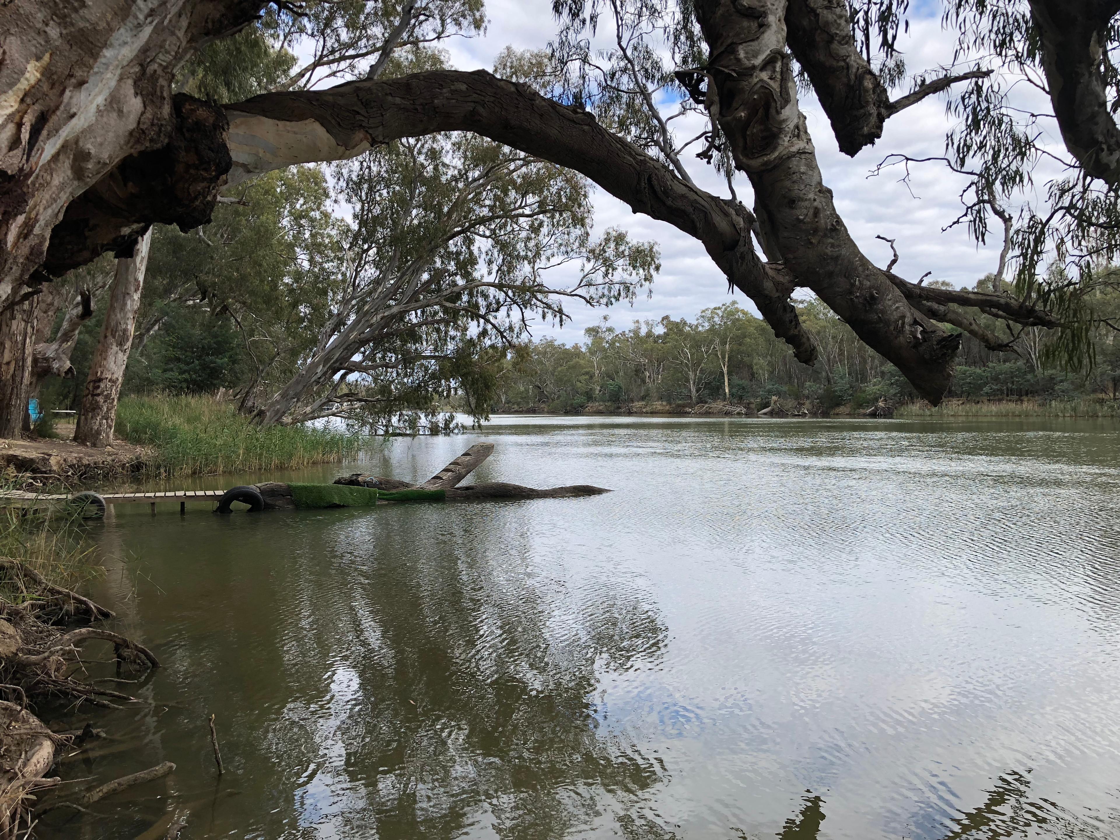 Murray River Bush Camp