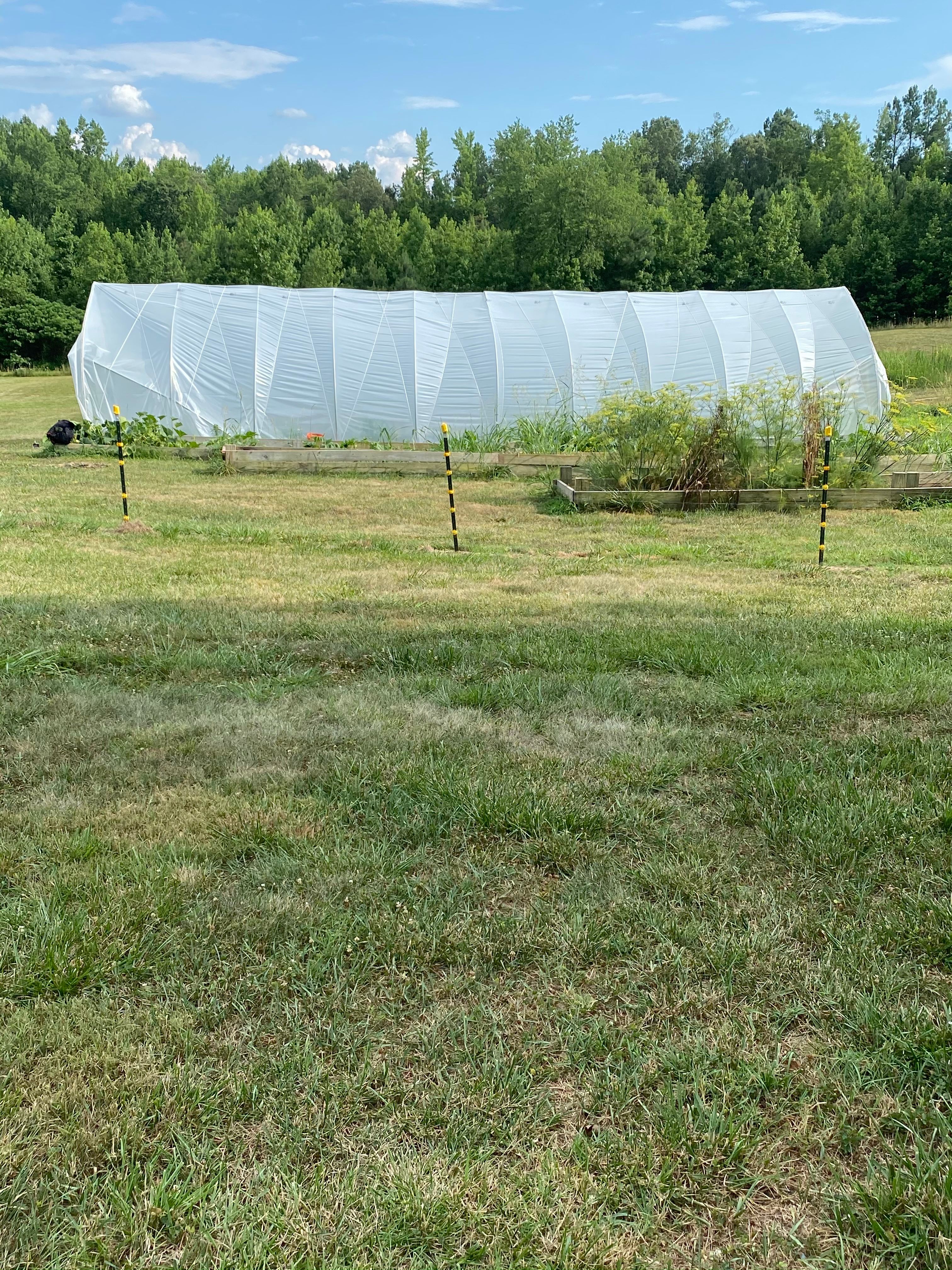 Camping at Cloverdale Farms