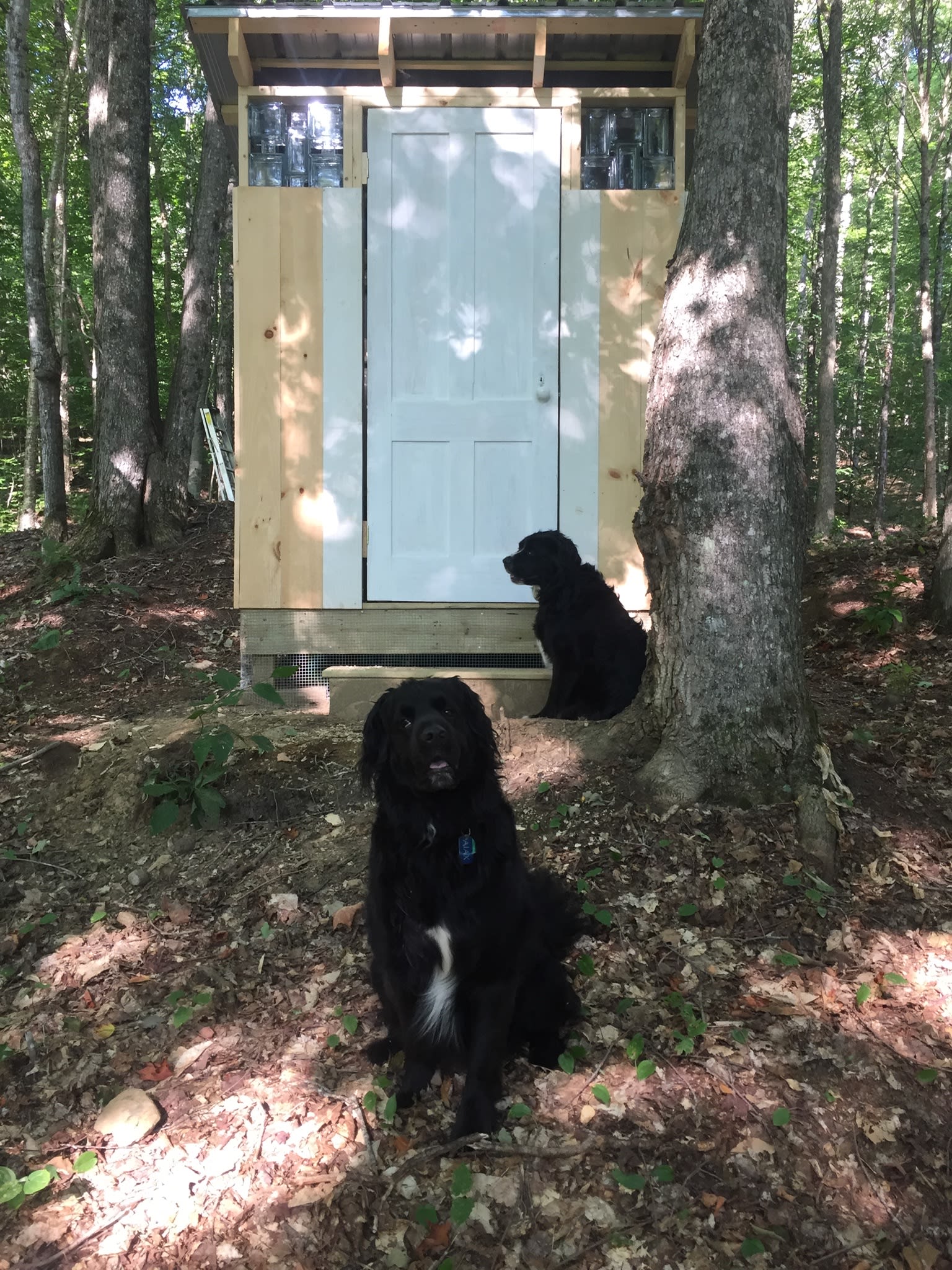 Decretive out house and the area is dog friendly  