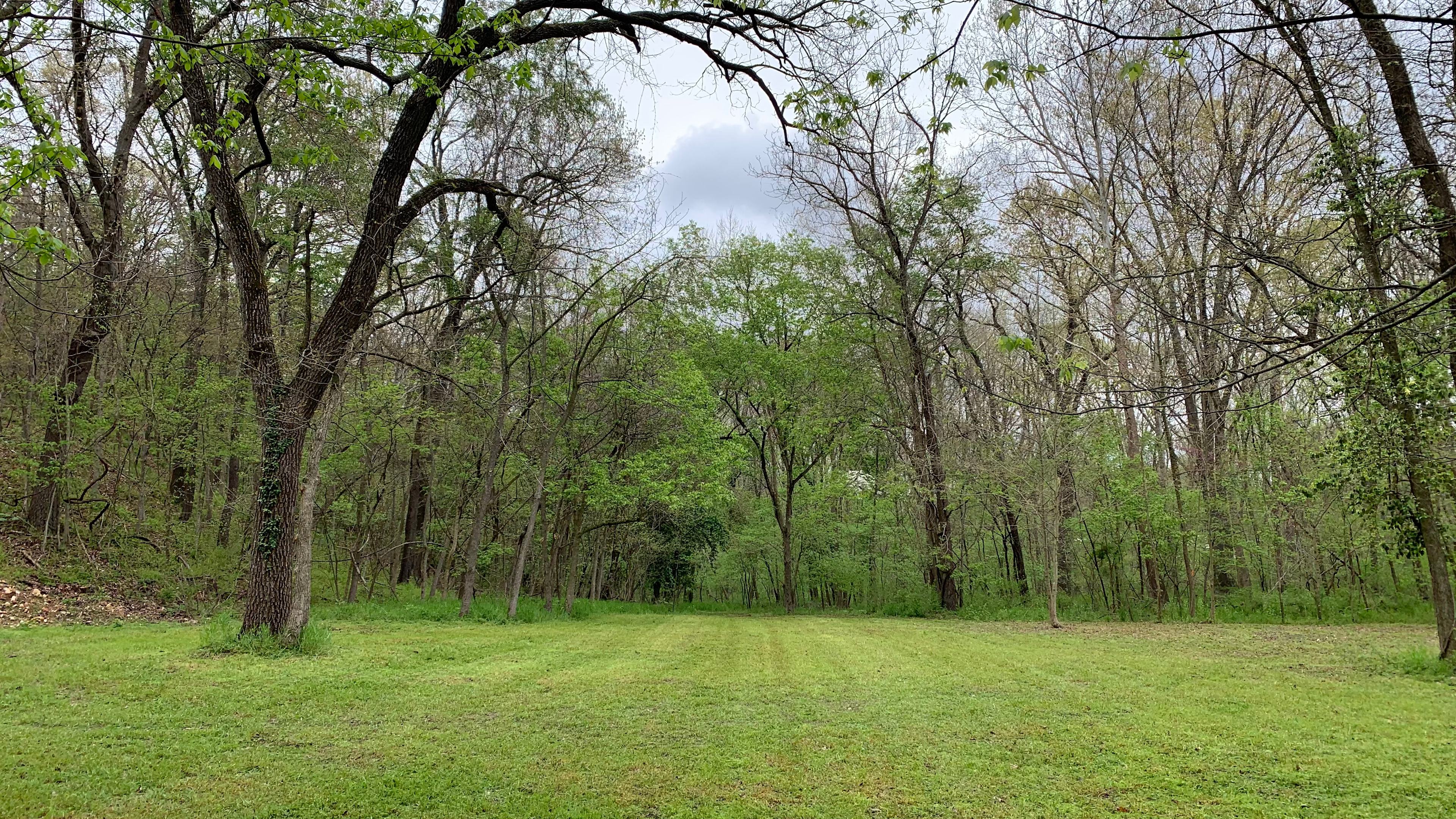 Great area for games and fun!