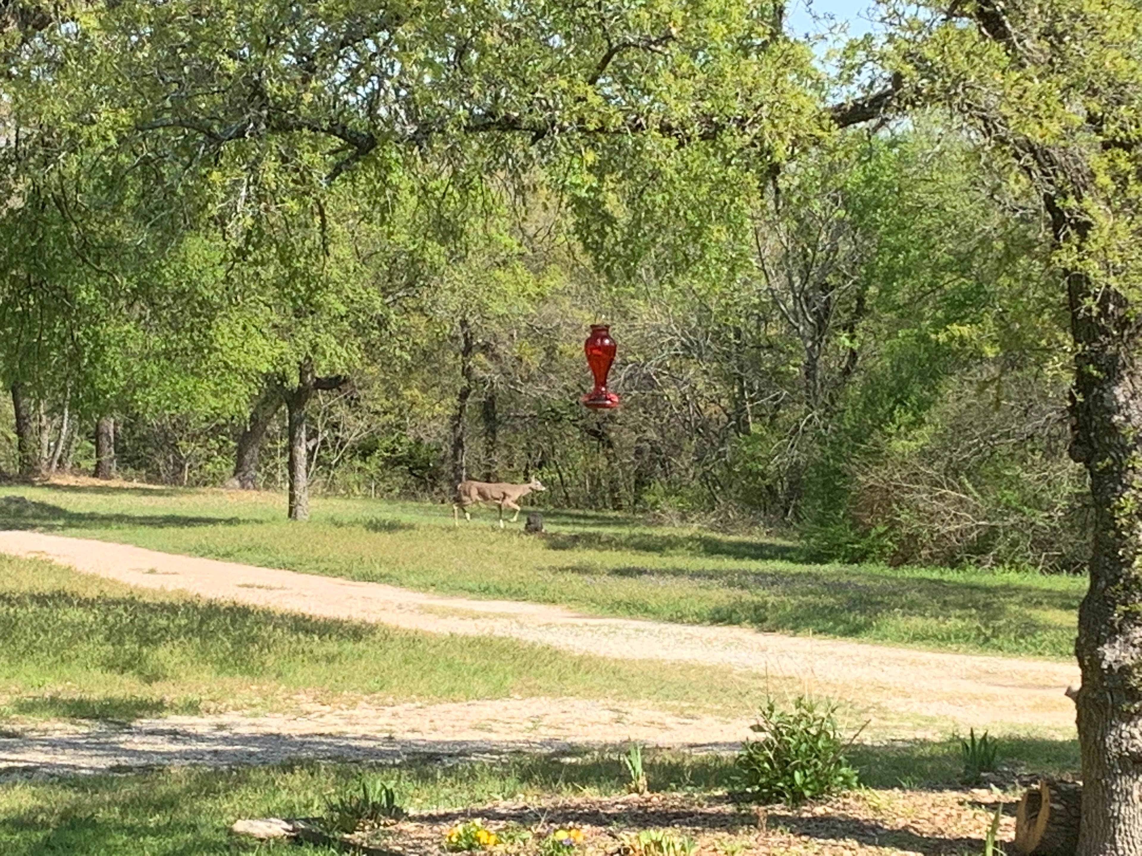 Friends In RV Spaces