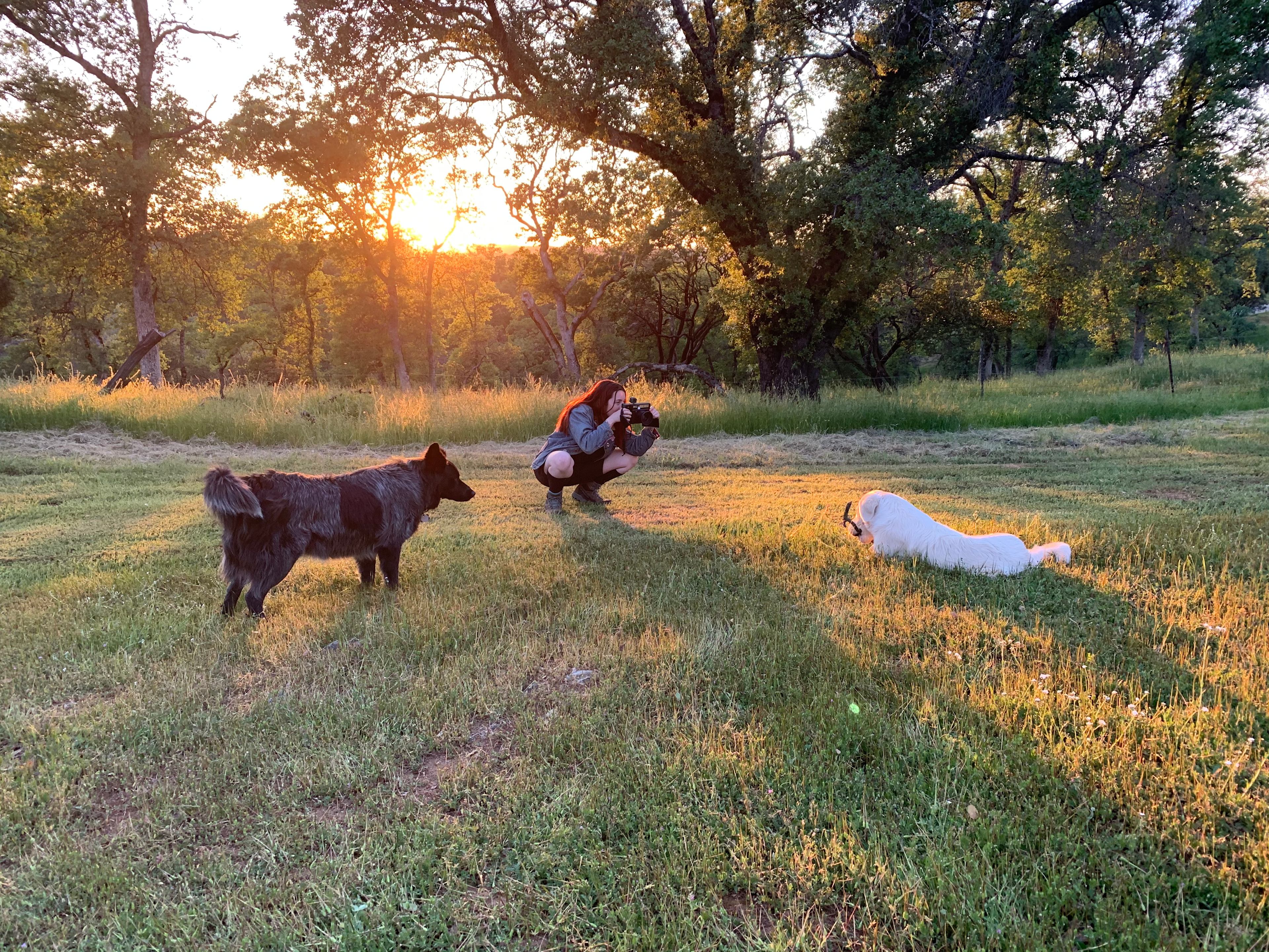 Mommapeggs Getaway in the Sierra