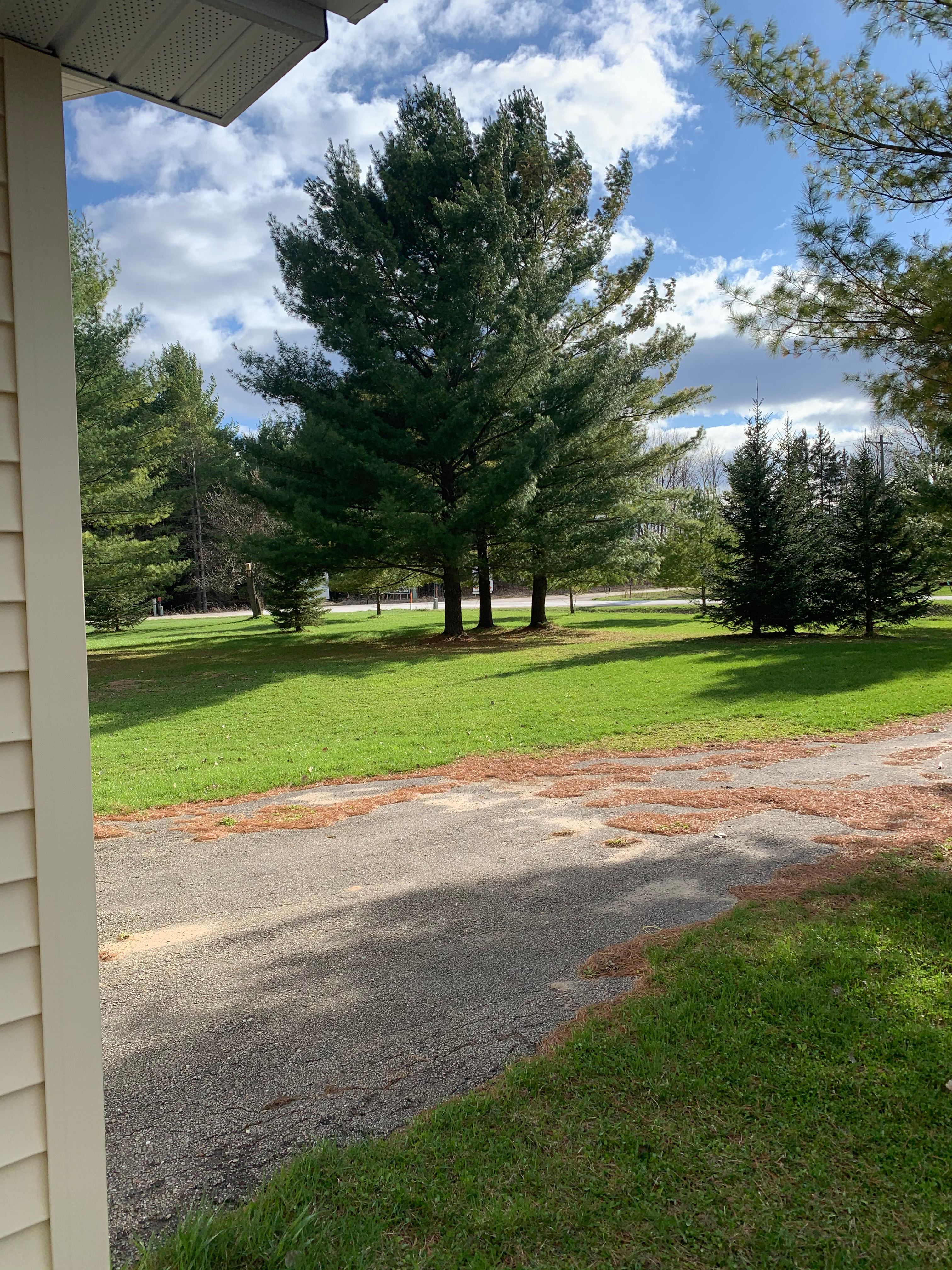 Jewett Creek Farm