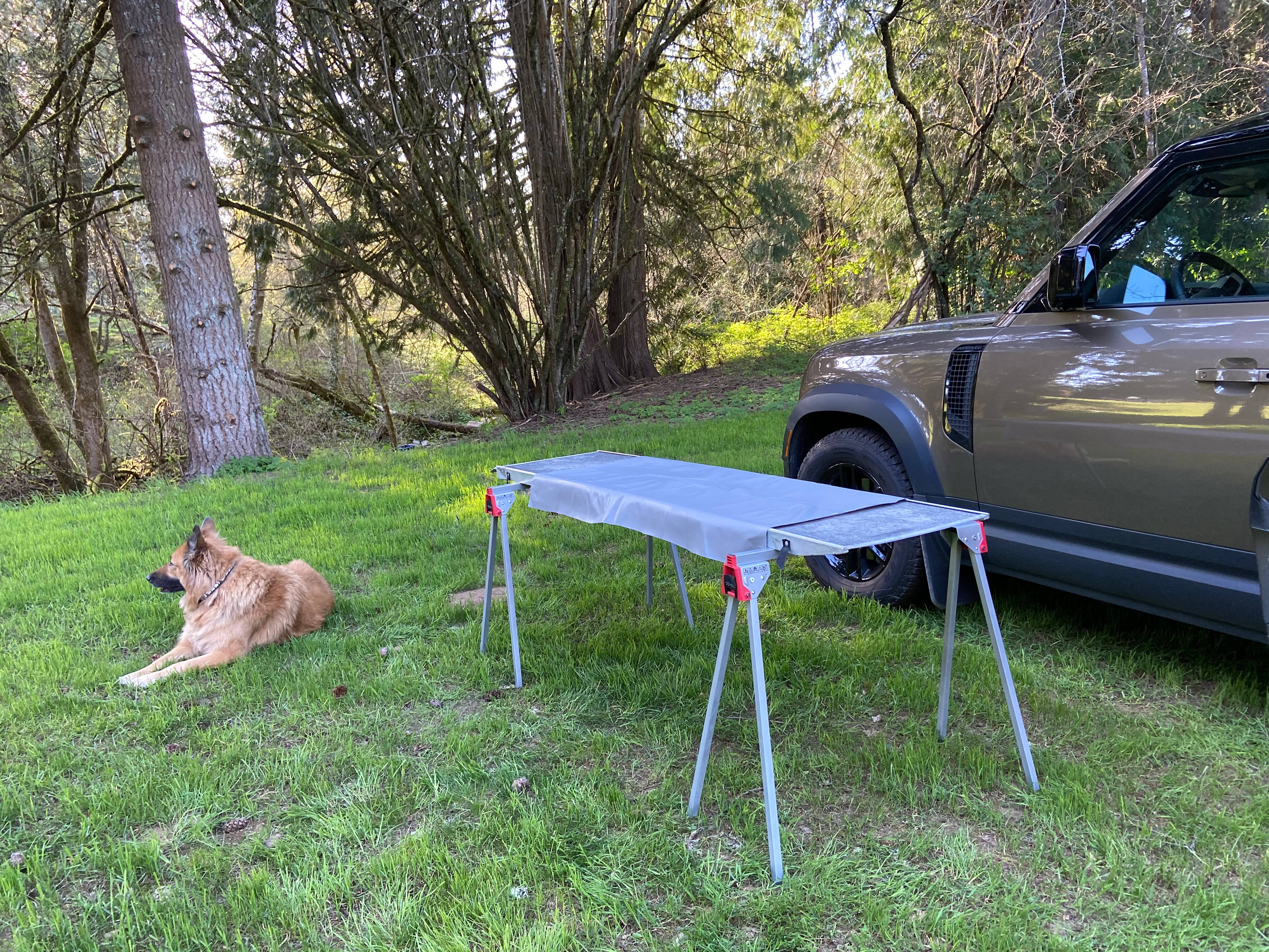 Spacious, Wooded Campsite, Hookups