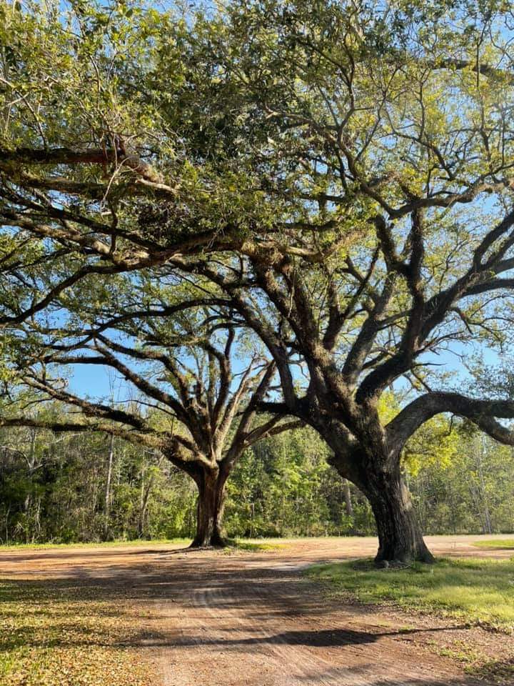 Colorful Camping at Beakertopia✨️🌈