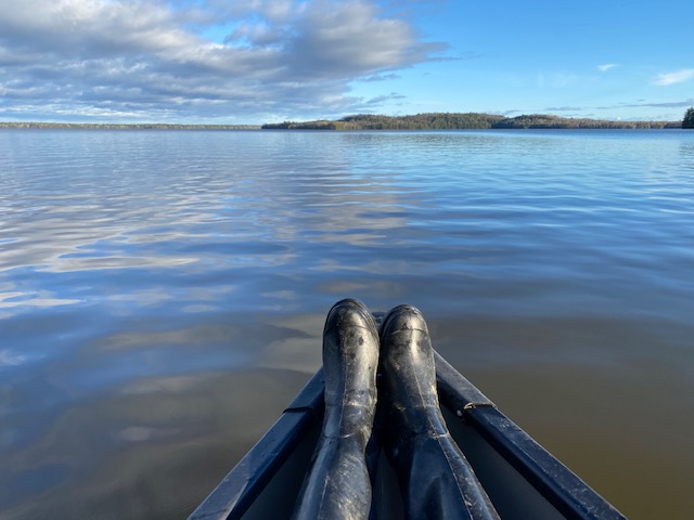 Sunflower Ranch Camping