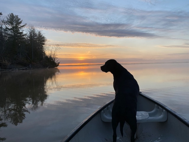 Sunflower Ranch Camping