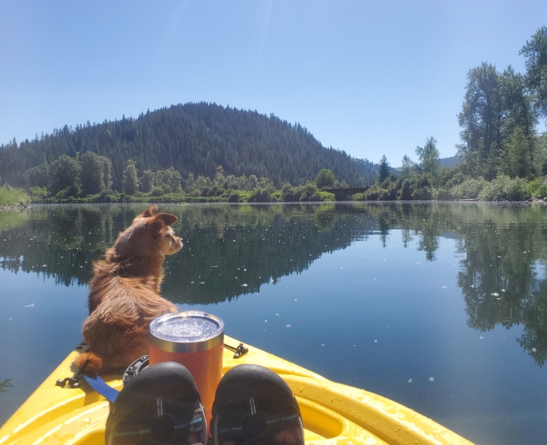 Kayaking upriver from camp