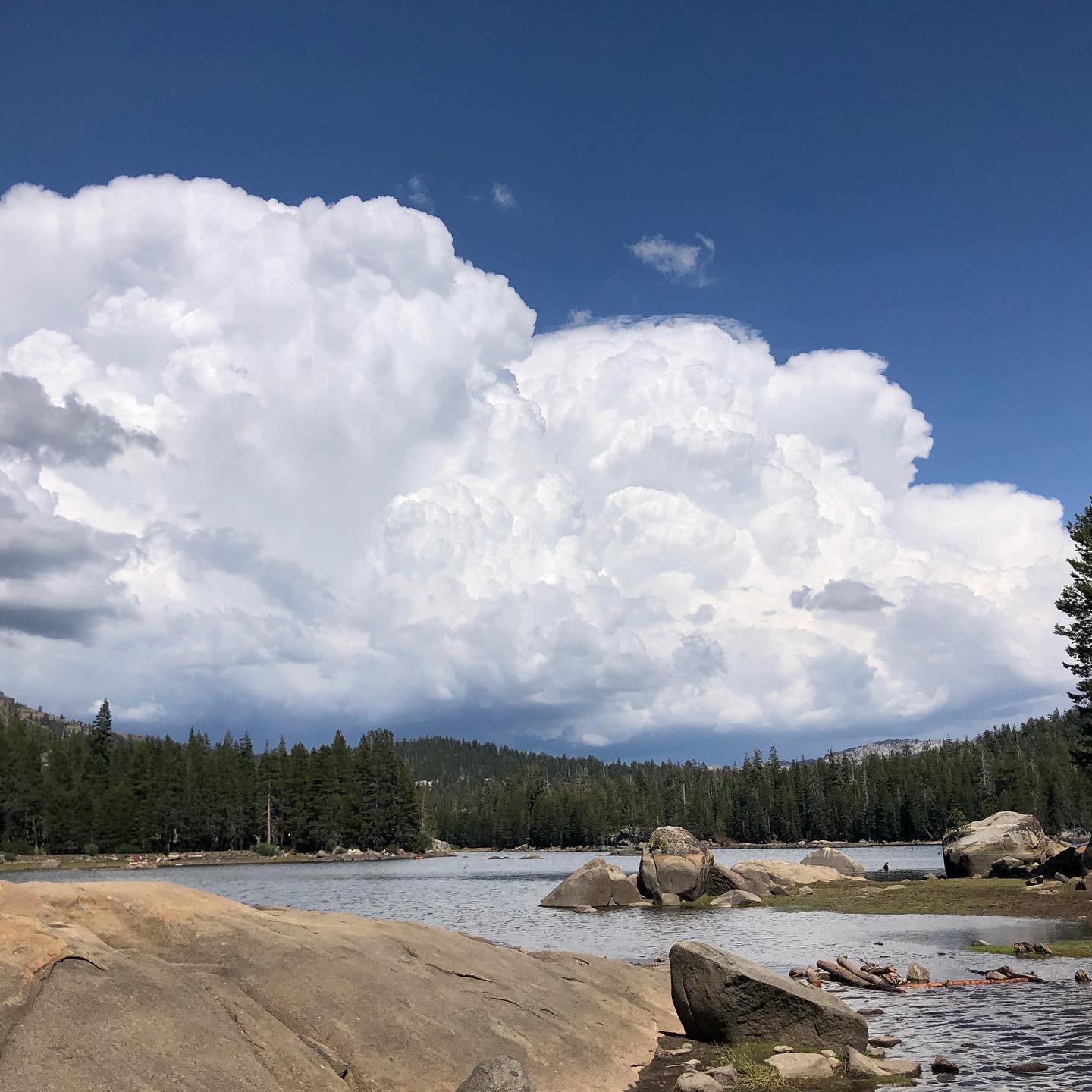 Silvertip Campground