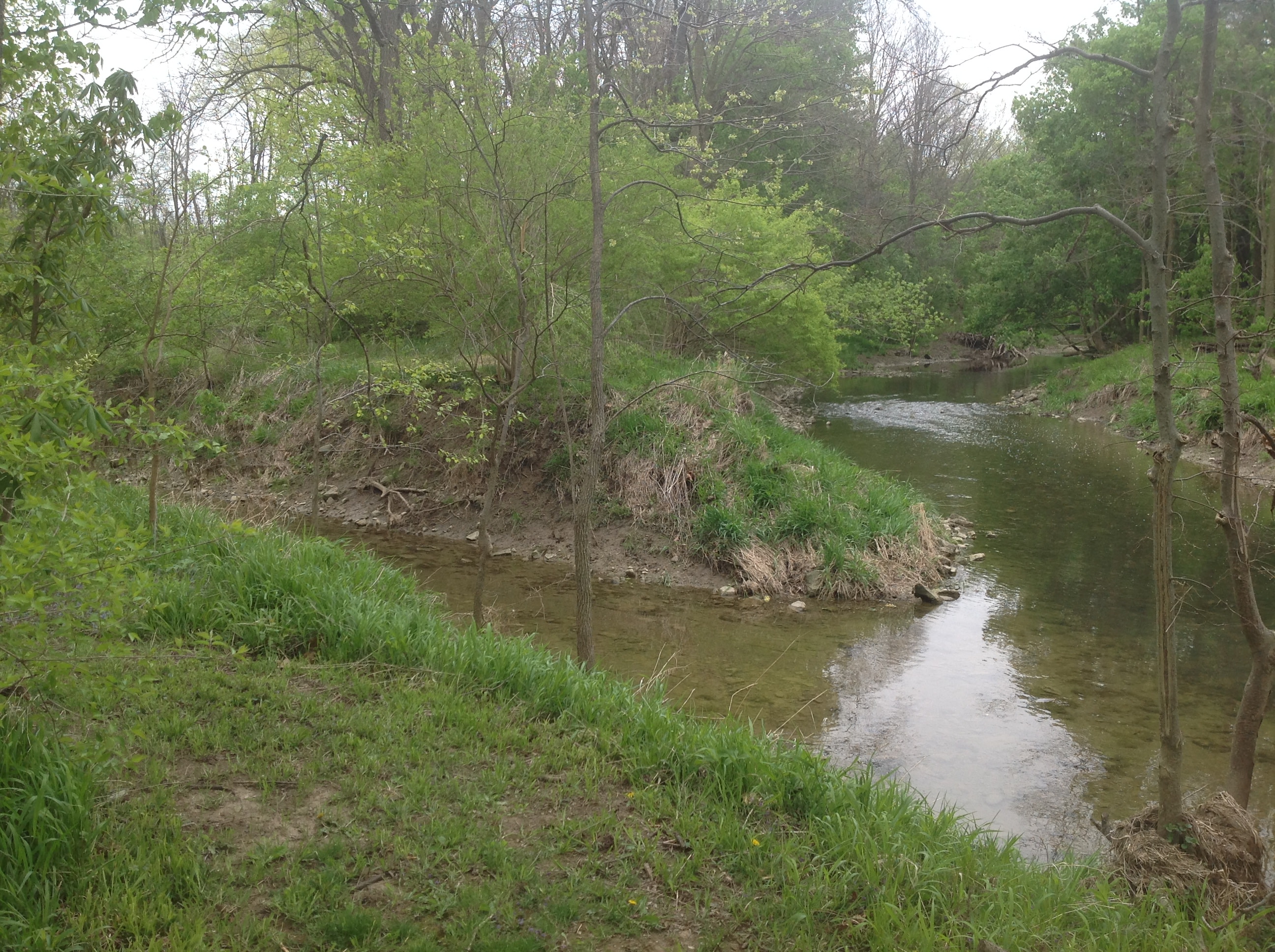This is the view from site# 1. Campsite # 2 is on the point across the creek.