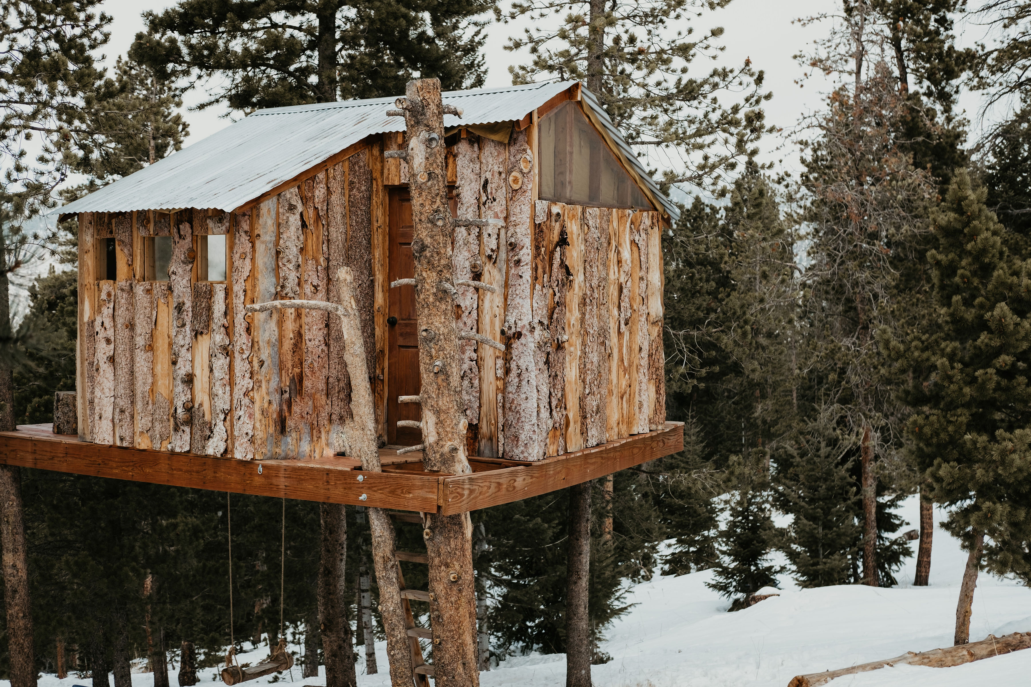 Gold Nugget Tree House