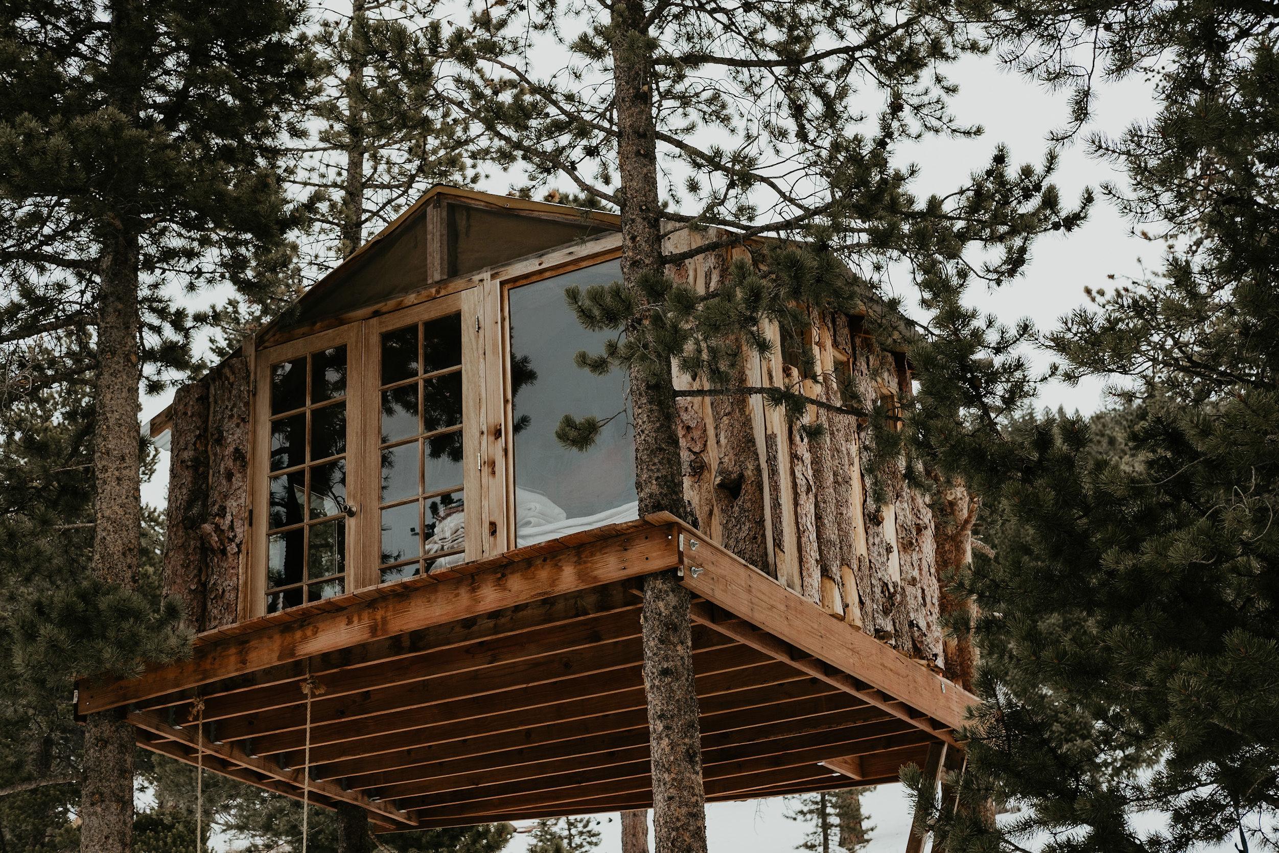 Gold Nugget Tree House + Cabin
