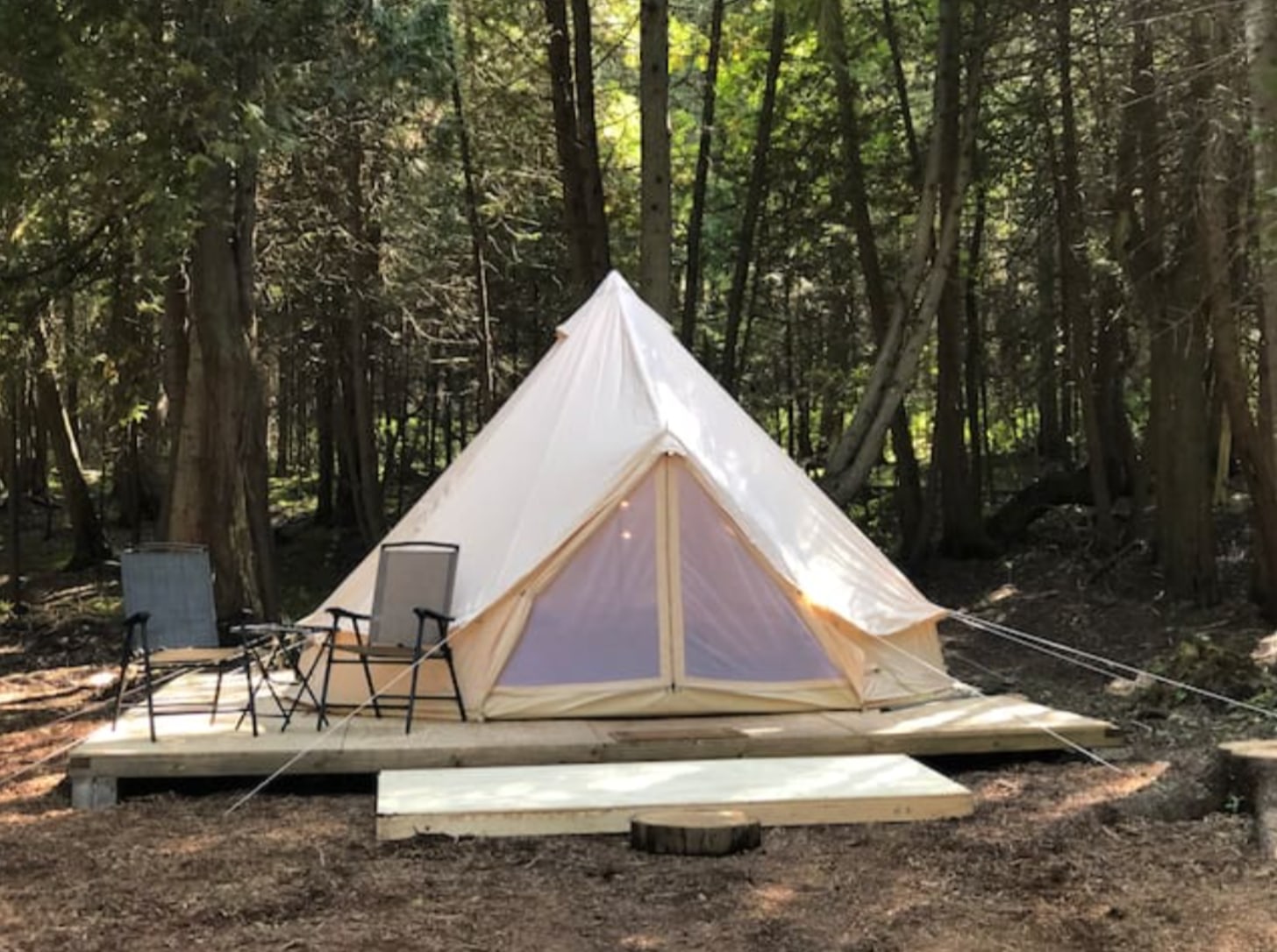Sandra’s Forest